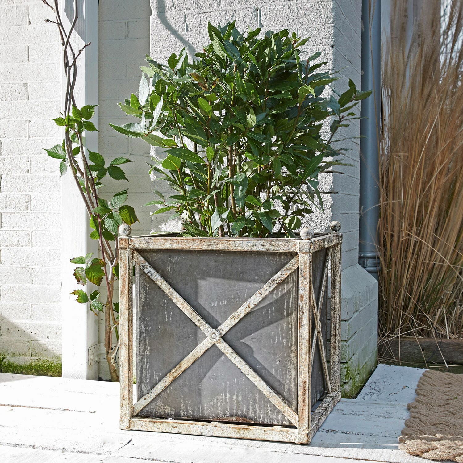 Cache-pot Taunton