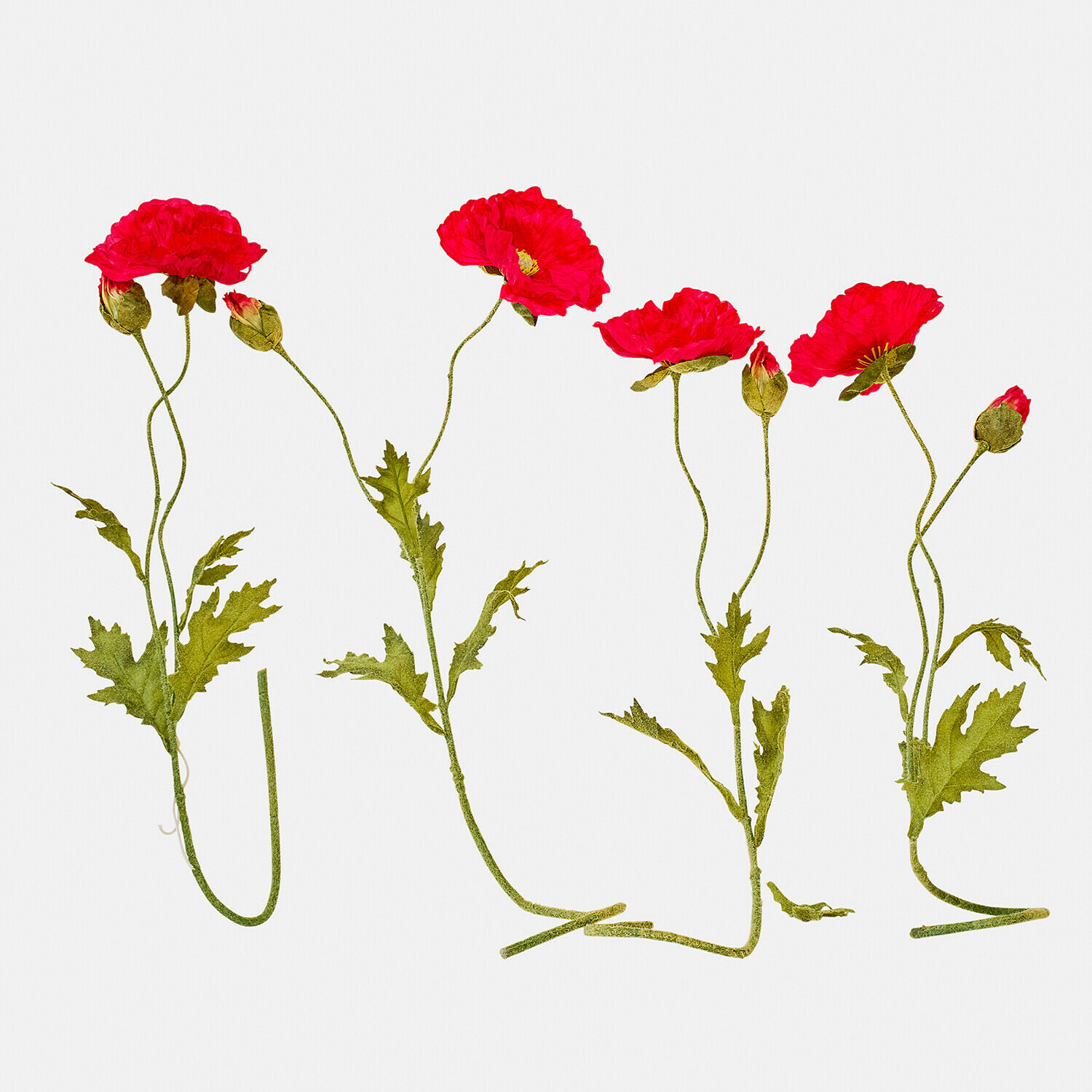 Lot de 4 fleurs décoratives Doravela Fleurs artificielles coquelicots rouges avec feuilles vertes sur fond blanc, décoration intérieure