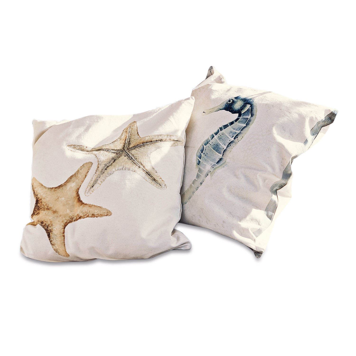 Lot de 2 coussins Upshur