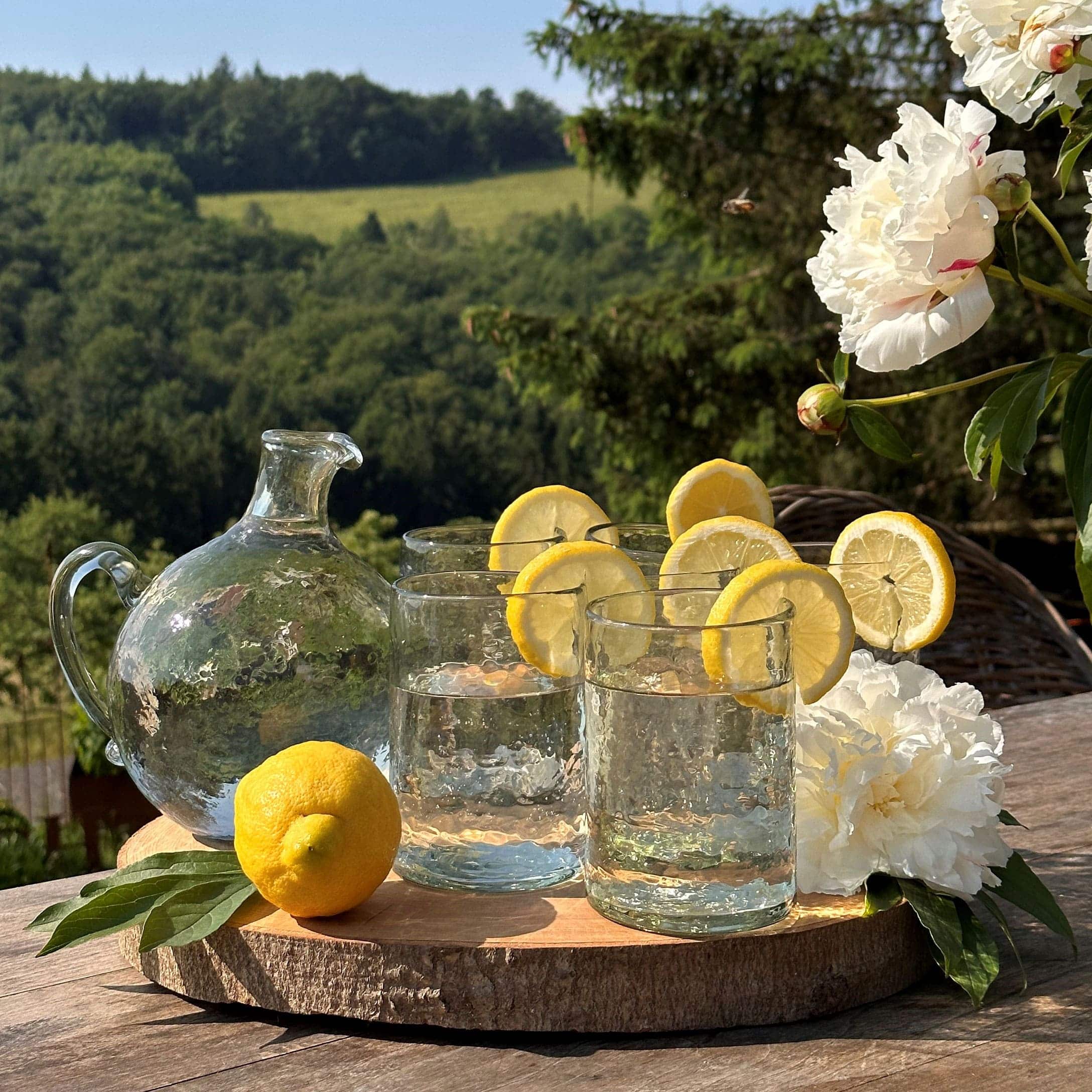 Carafe en verre et verres avec eau et tranches de citron sur plateau en bois devant un paysage vert