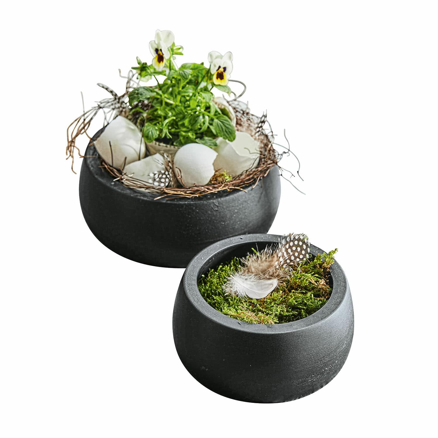 Lot de 2 coupes Mael