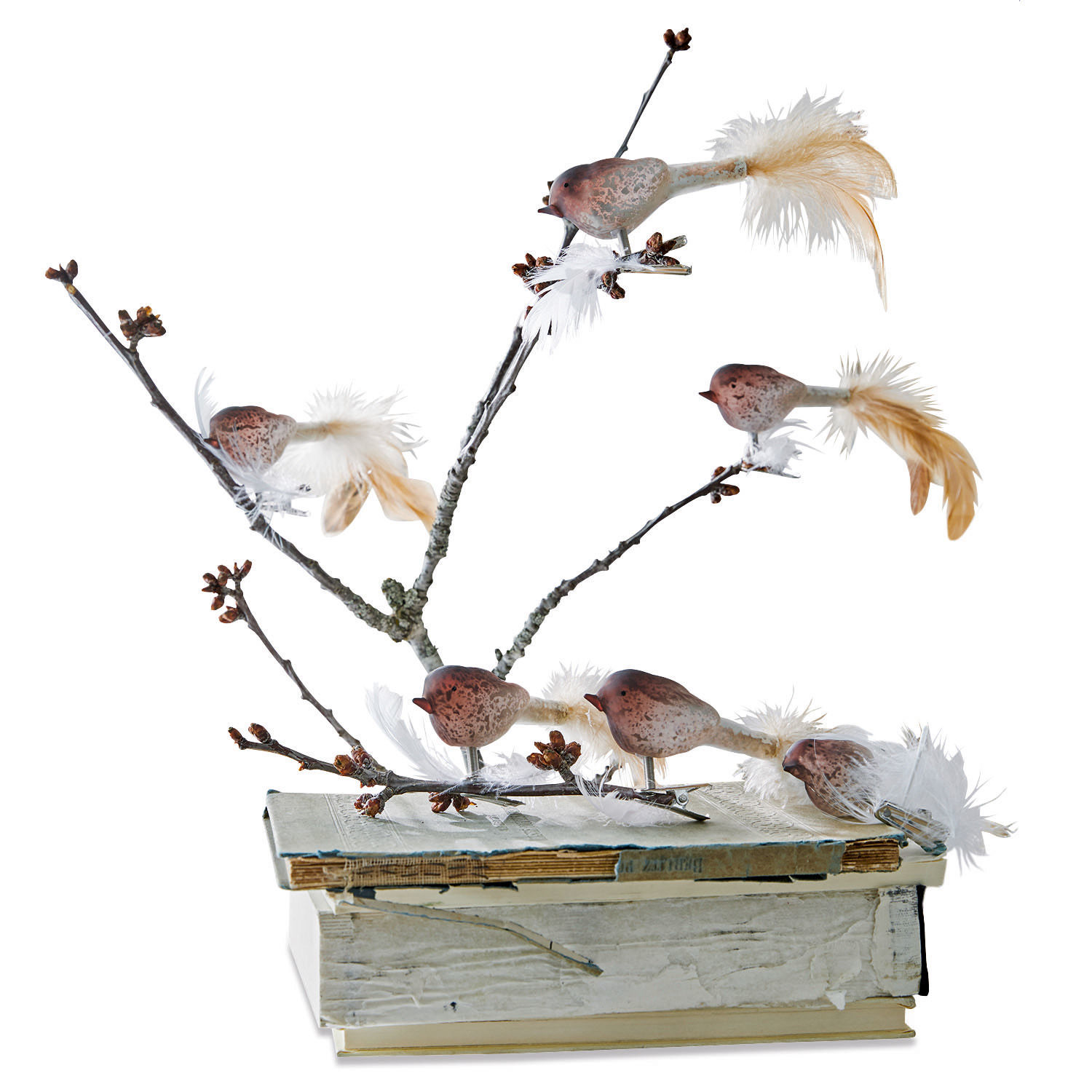 Lot de 6 oiseaux Ceallach