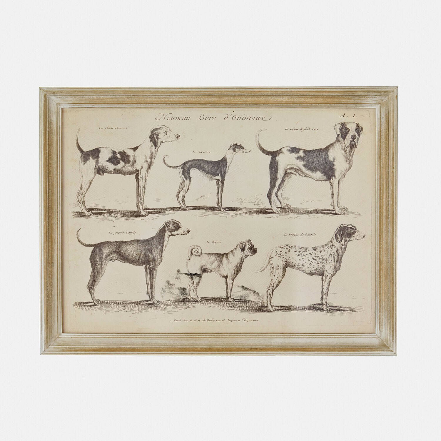 Tableau Wendrel Illustration encadrée de six races de chiens en style vintage sur fond beige