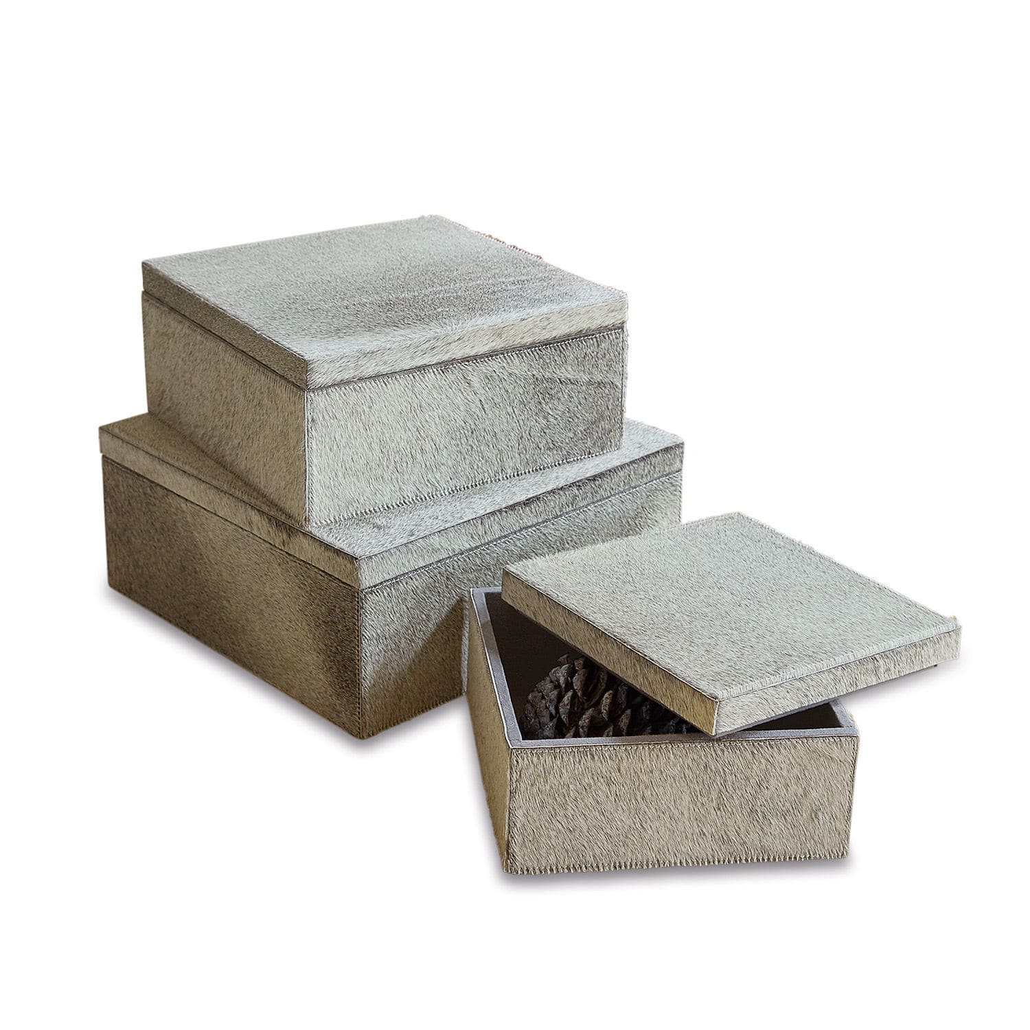 Lot de 3 boîtes Myrian