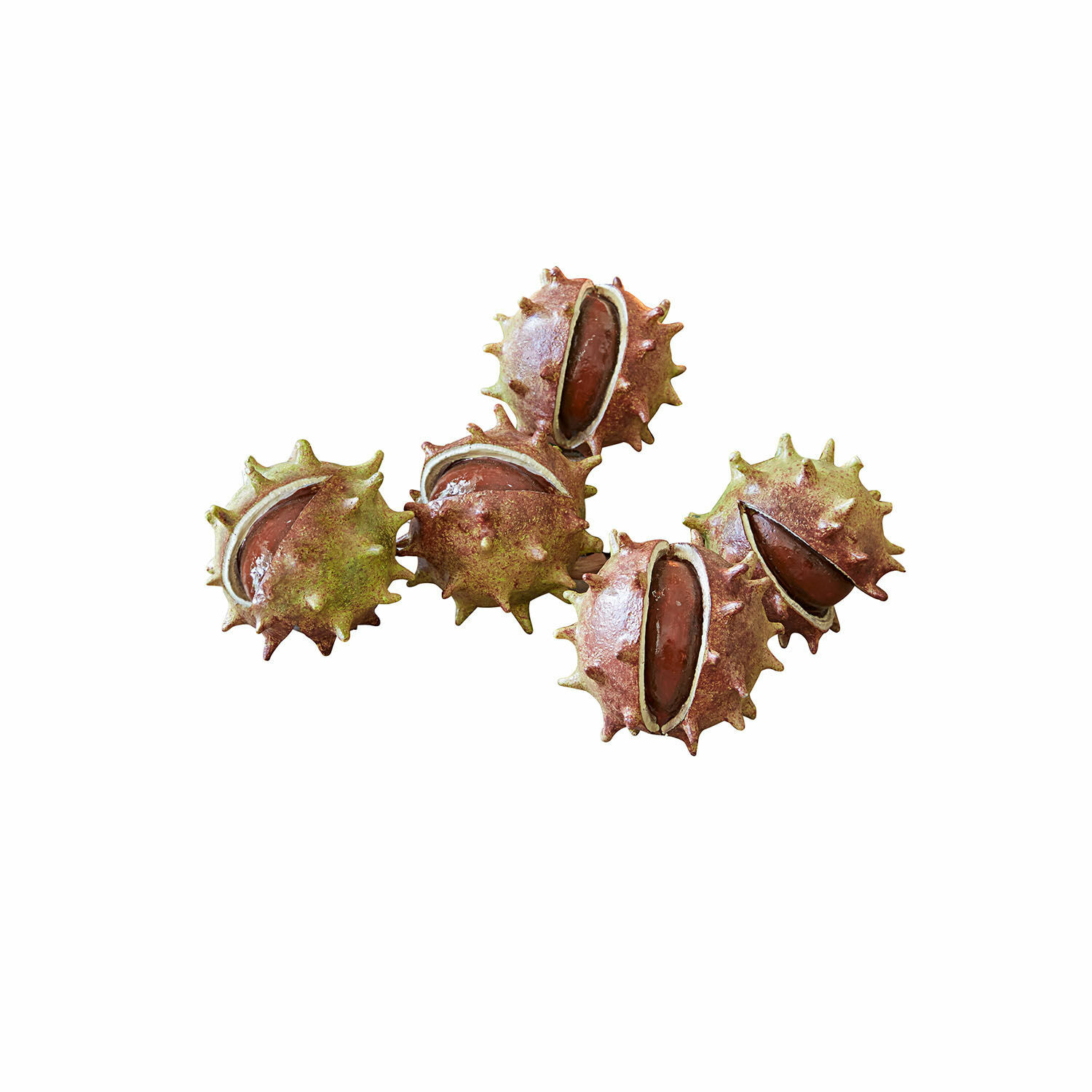 Lot de 5 marrons décoratifs Léo Châtaignes naturelles avec coque épineuse vert-brun pour décoration automnale