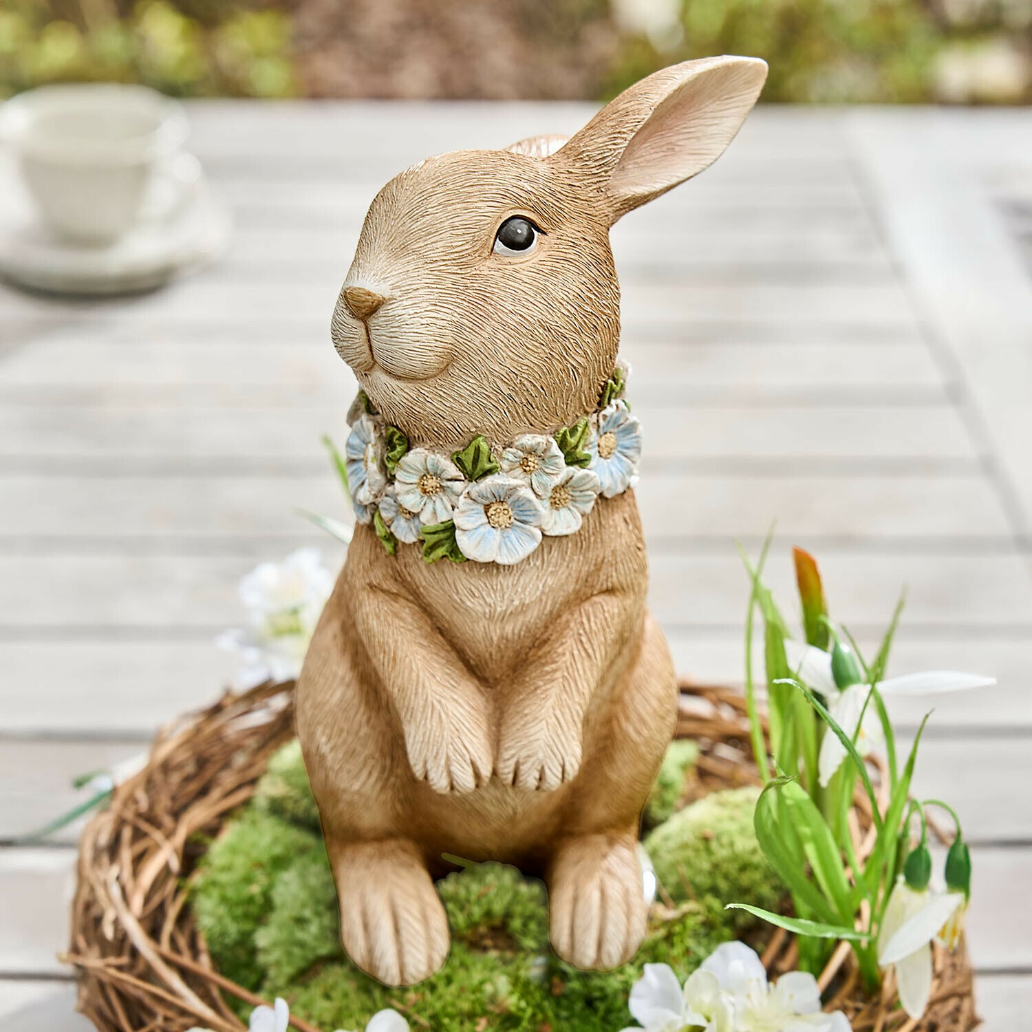 Lapin décoratif Ashfordale