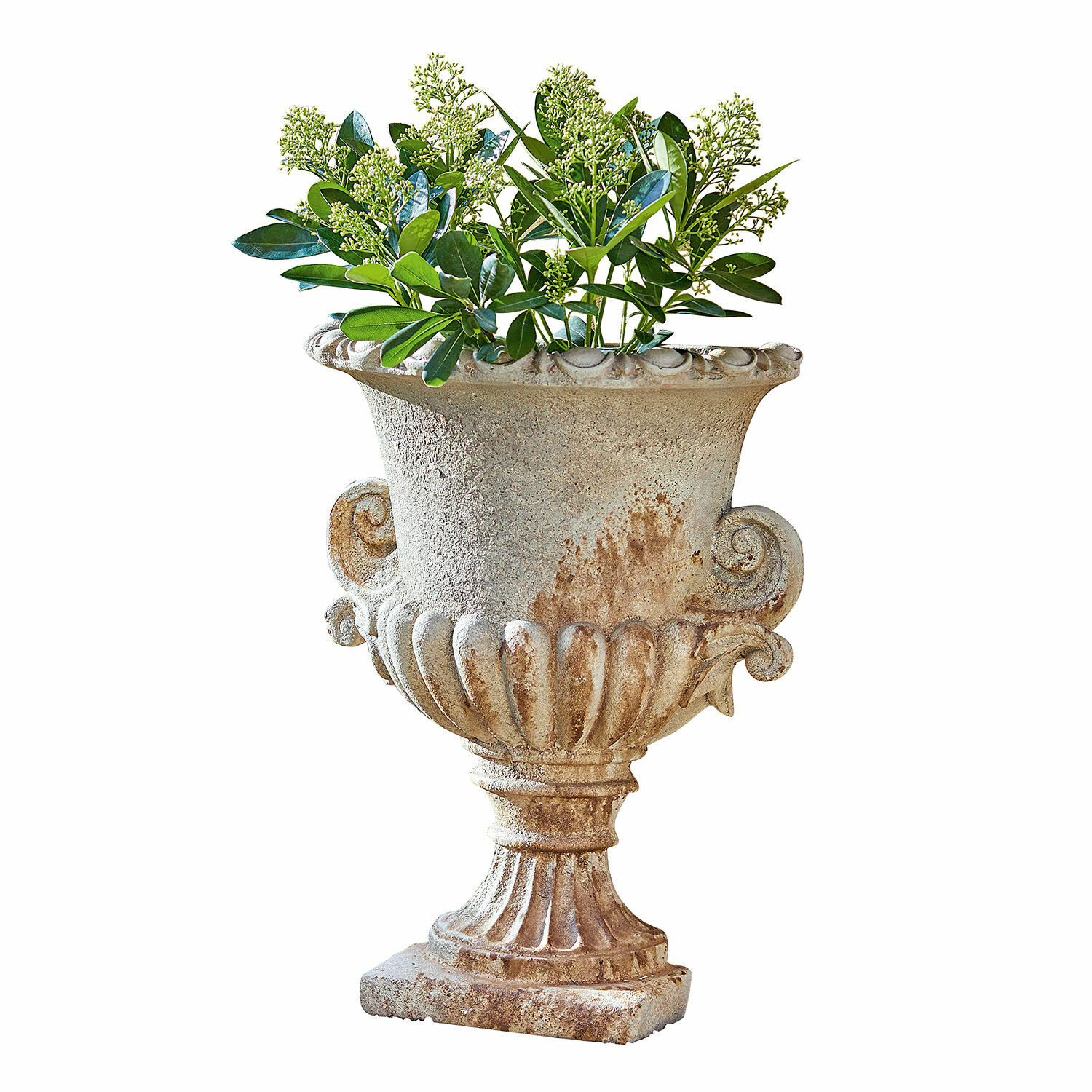 Amphore Cevio Vase décoratif en pierre beige avec feuillage vert, parfait pour jardin ou terrasse