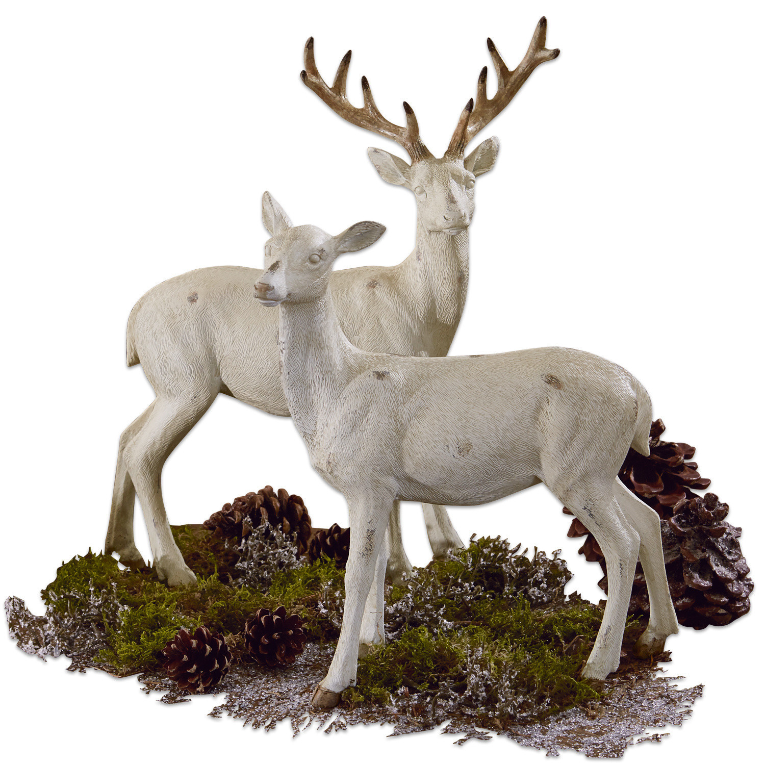 Cerf et chevreuil Risleys