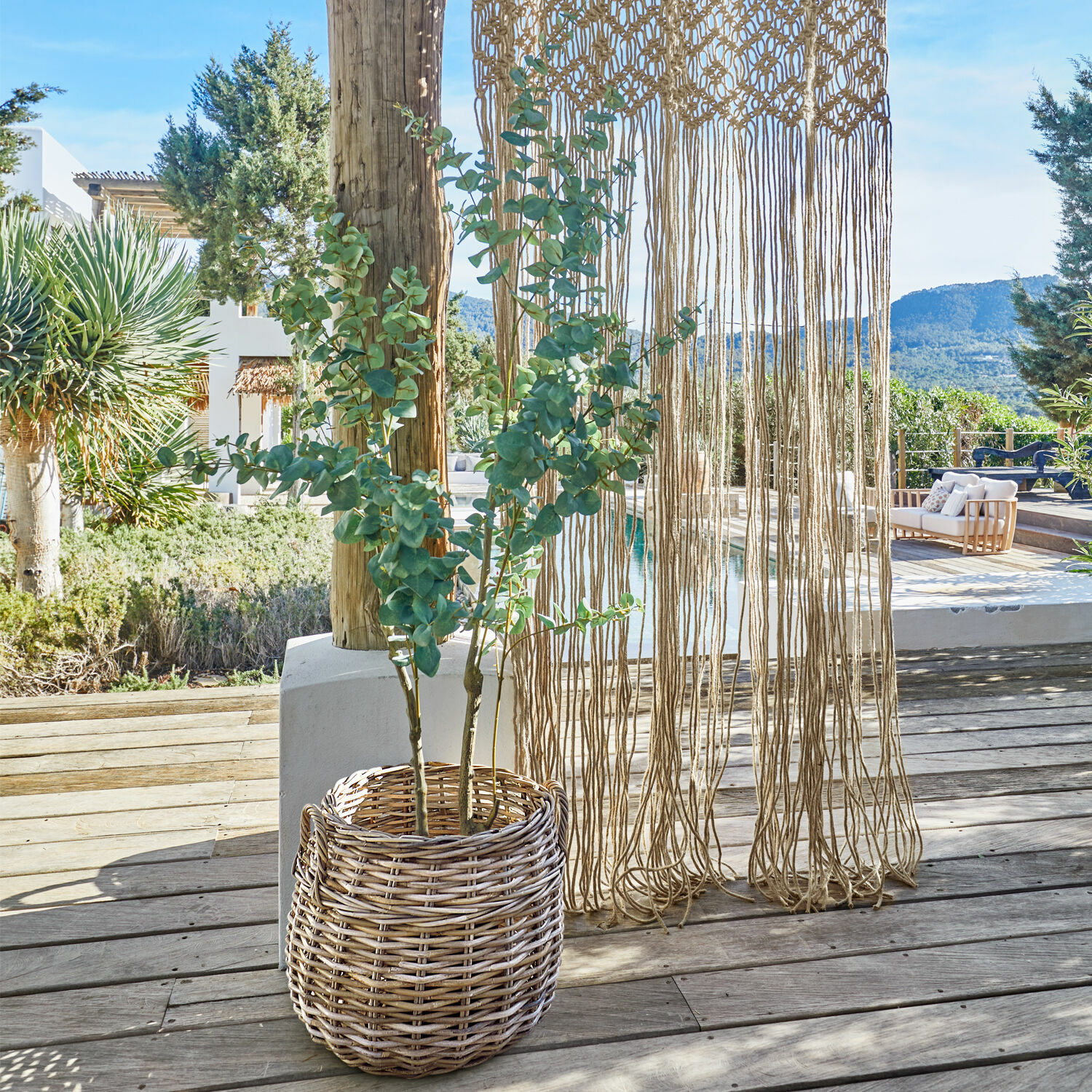 Plante décorative en pot Dorevi