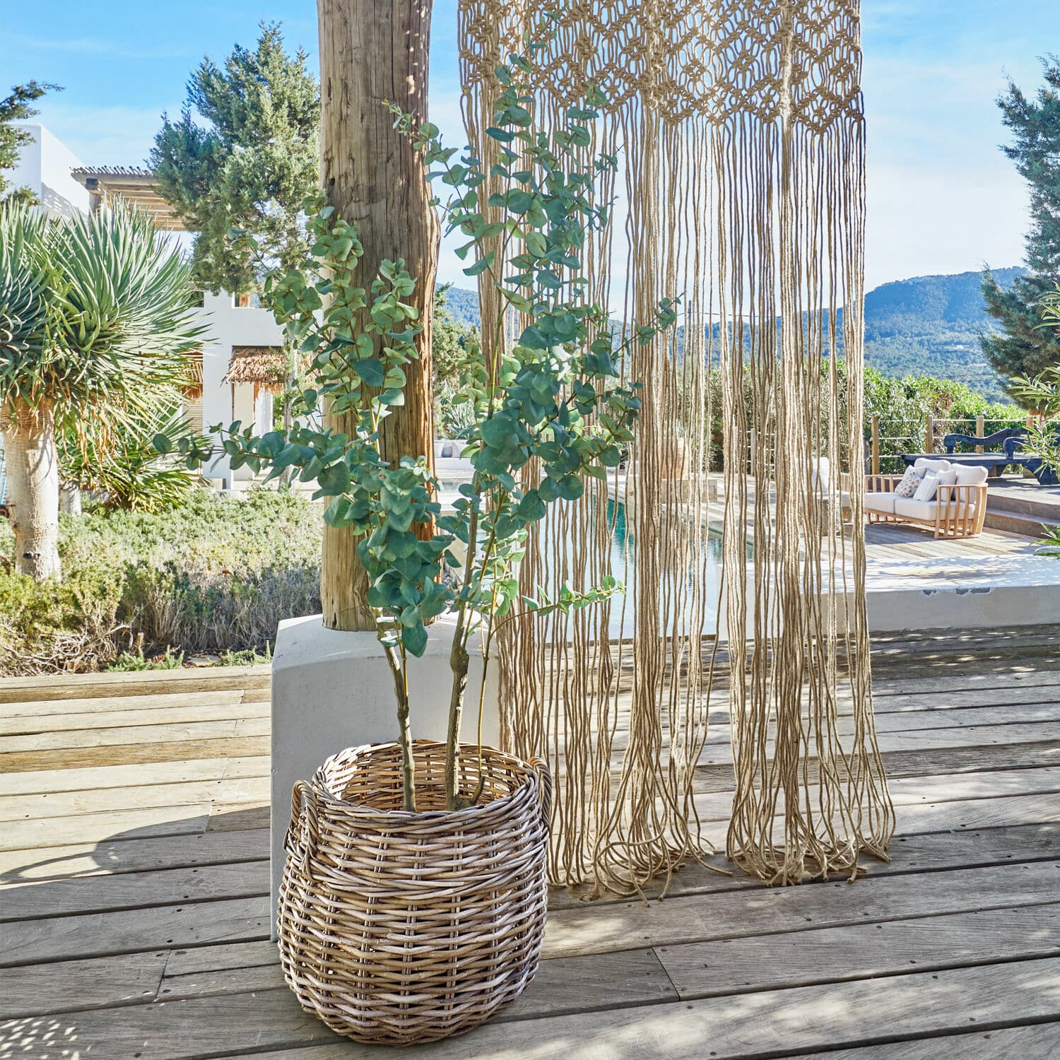 Plante décorative en pot Dorevi