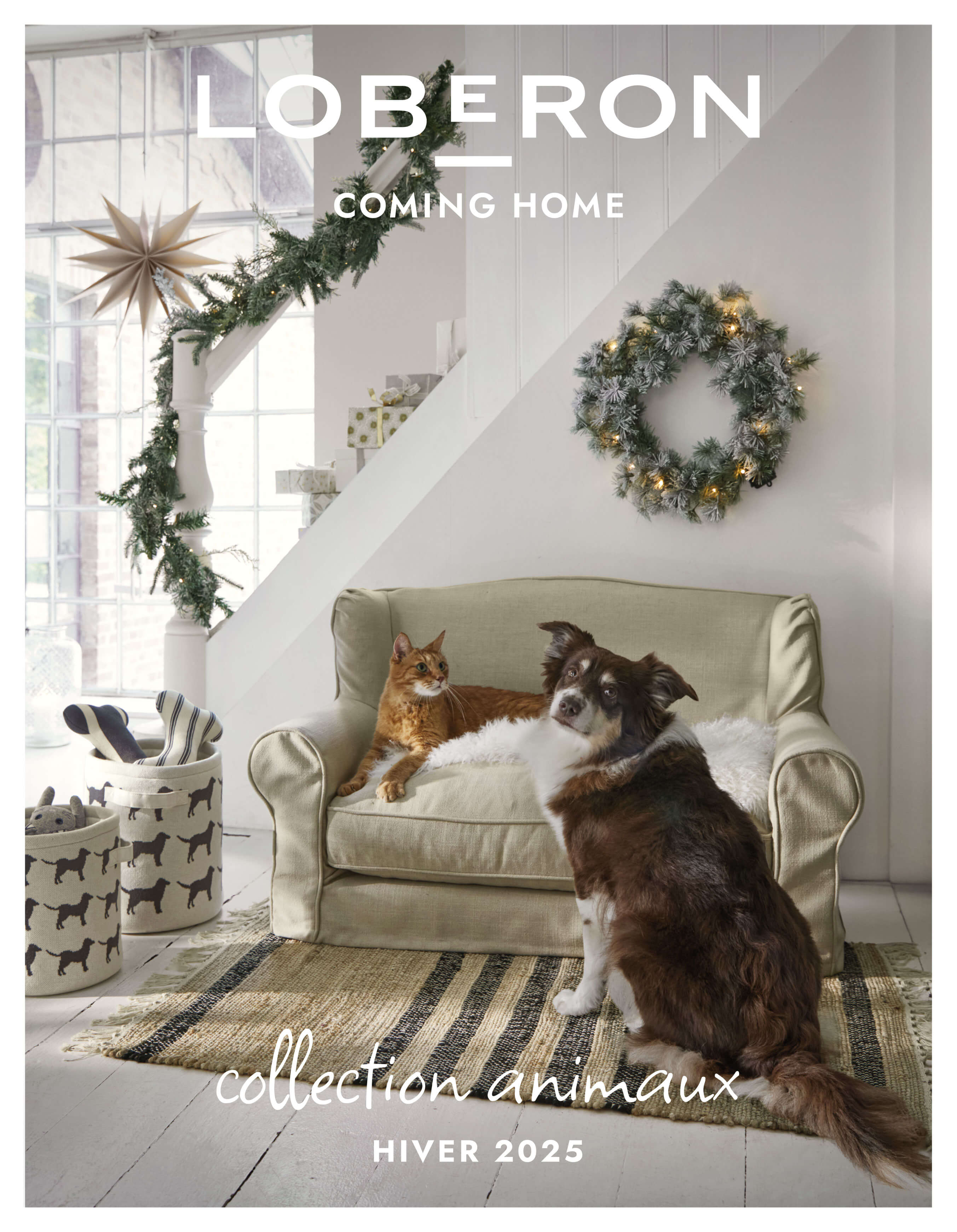 Accessoires pour animaux | Hiver 2025