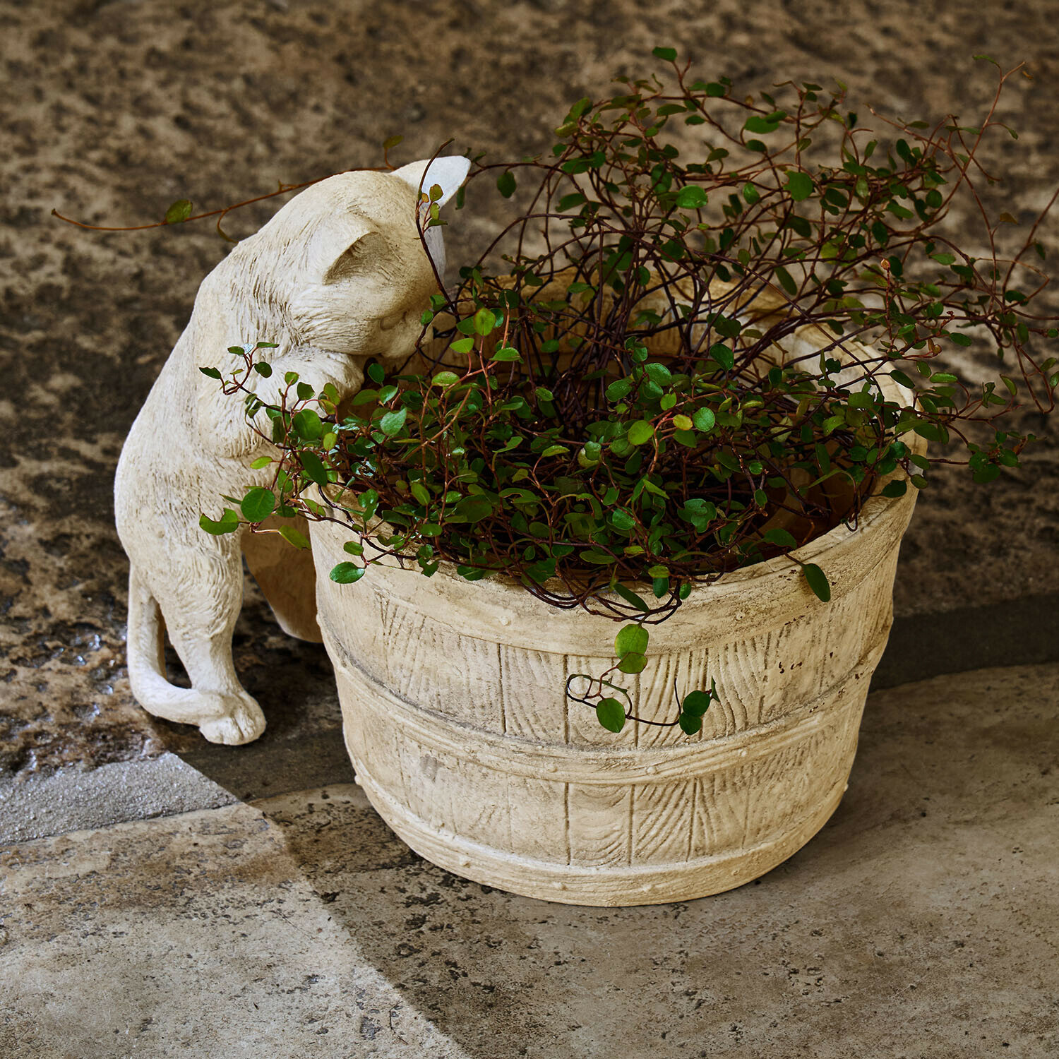 Pot en pierre claire avec plante verte et statue de chat beige sur sol en pierre