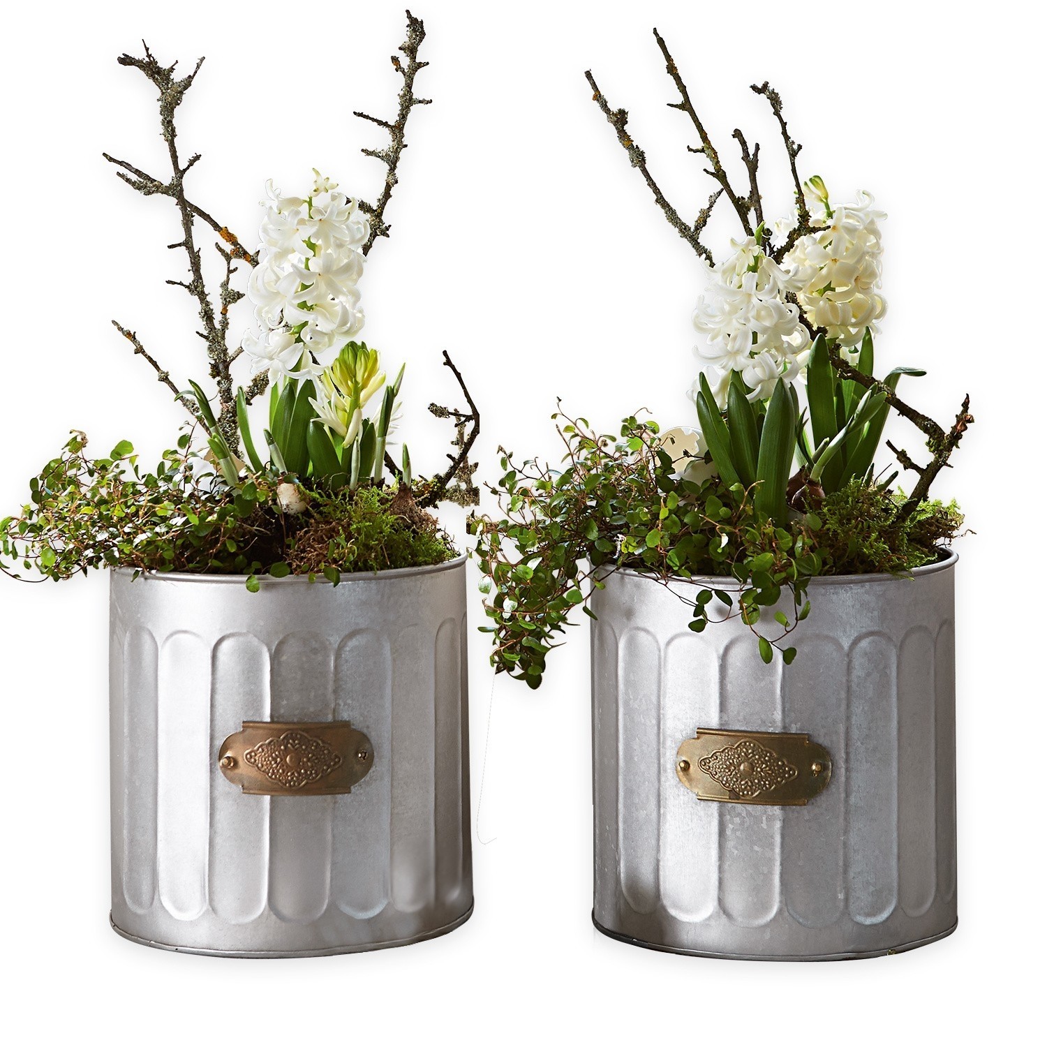 Lot de 2 cache-pots Dylan
