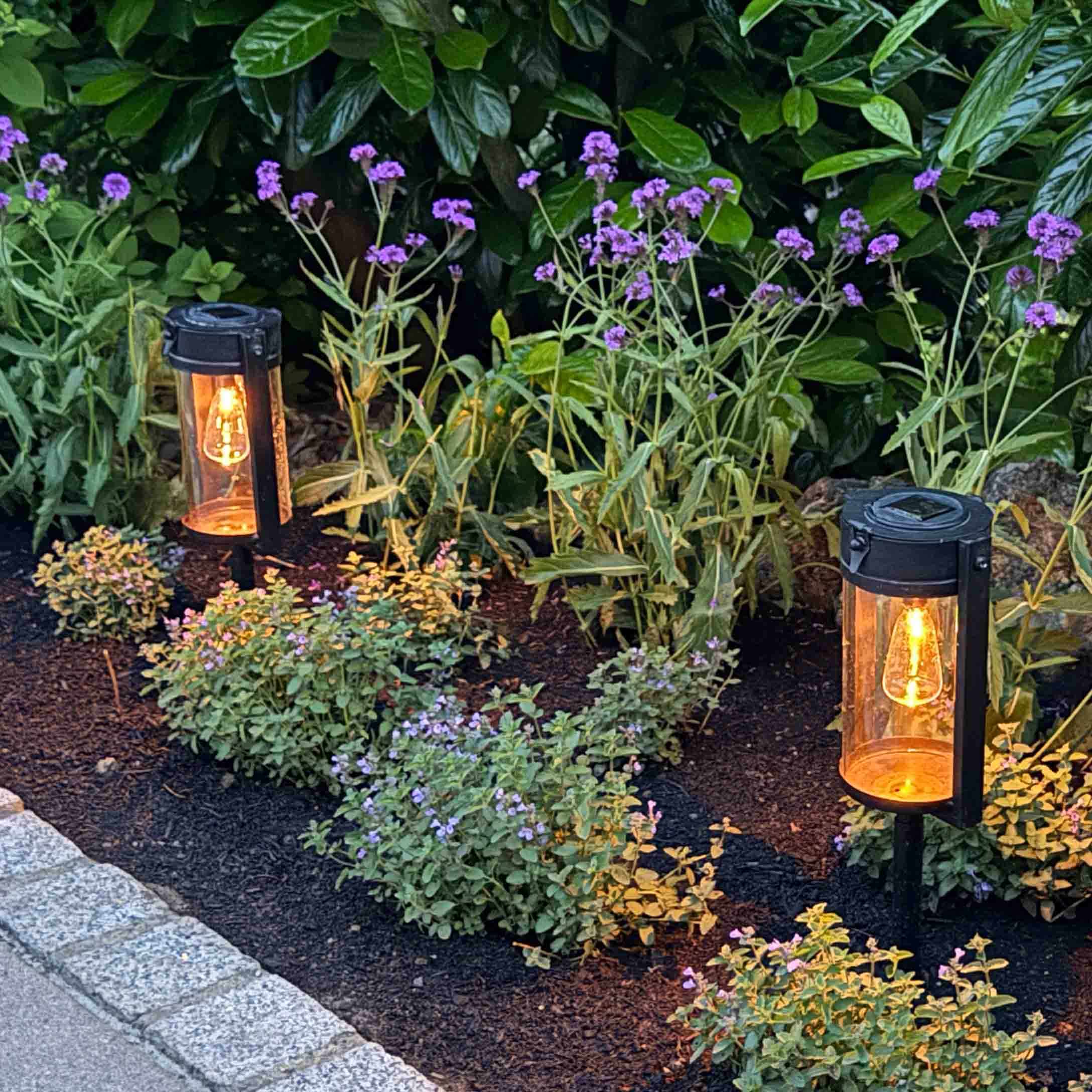 Éclairage de jardin en métal noir avec lumière chaude entouré de plantes vertes et fleurs violettes