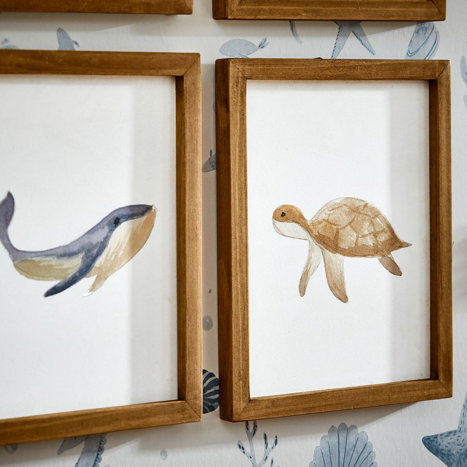 Lot de 6 dessins Nibblu