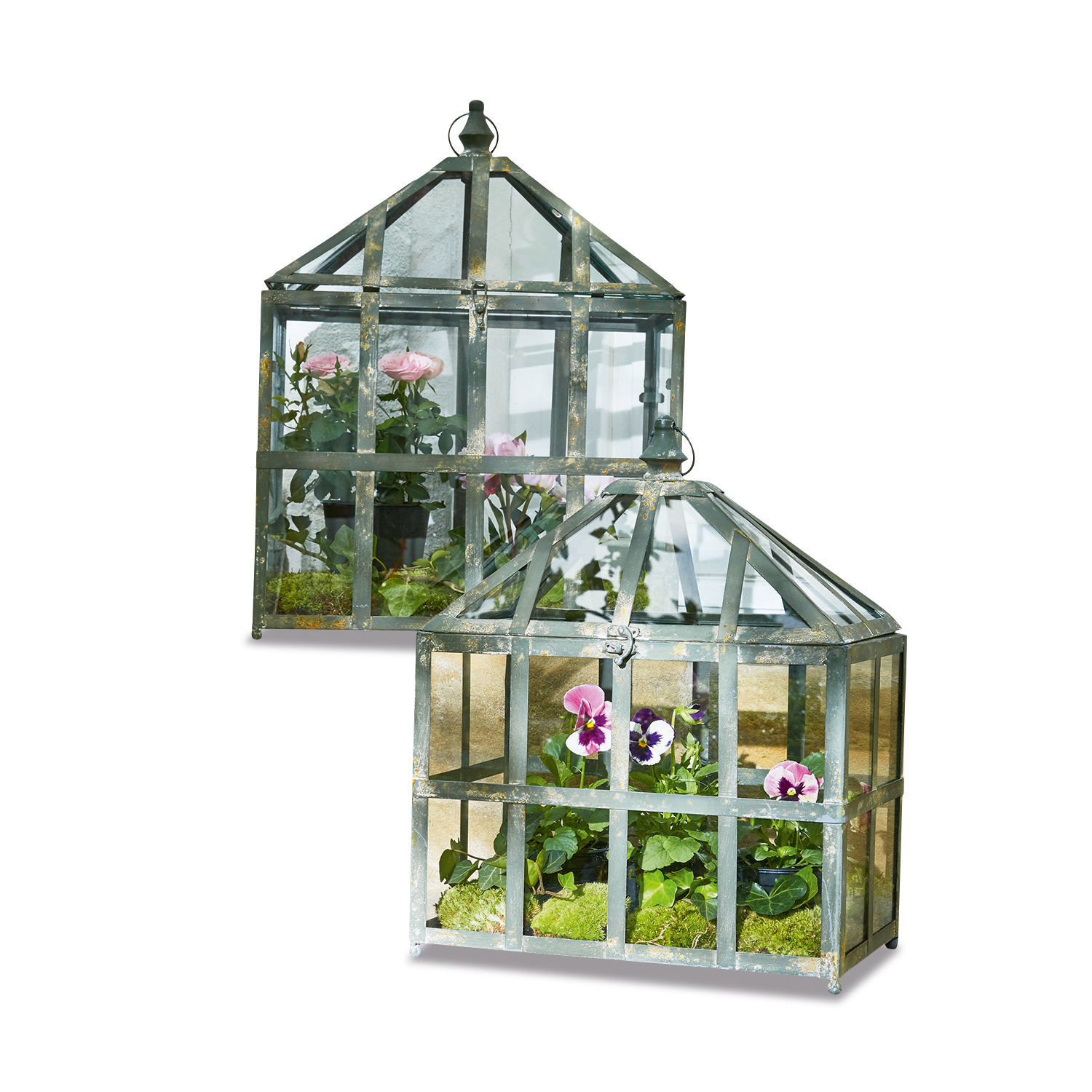 Lot de 2 serres Clement