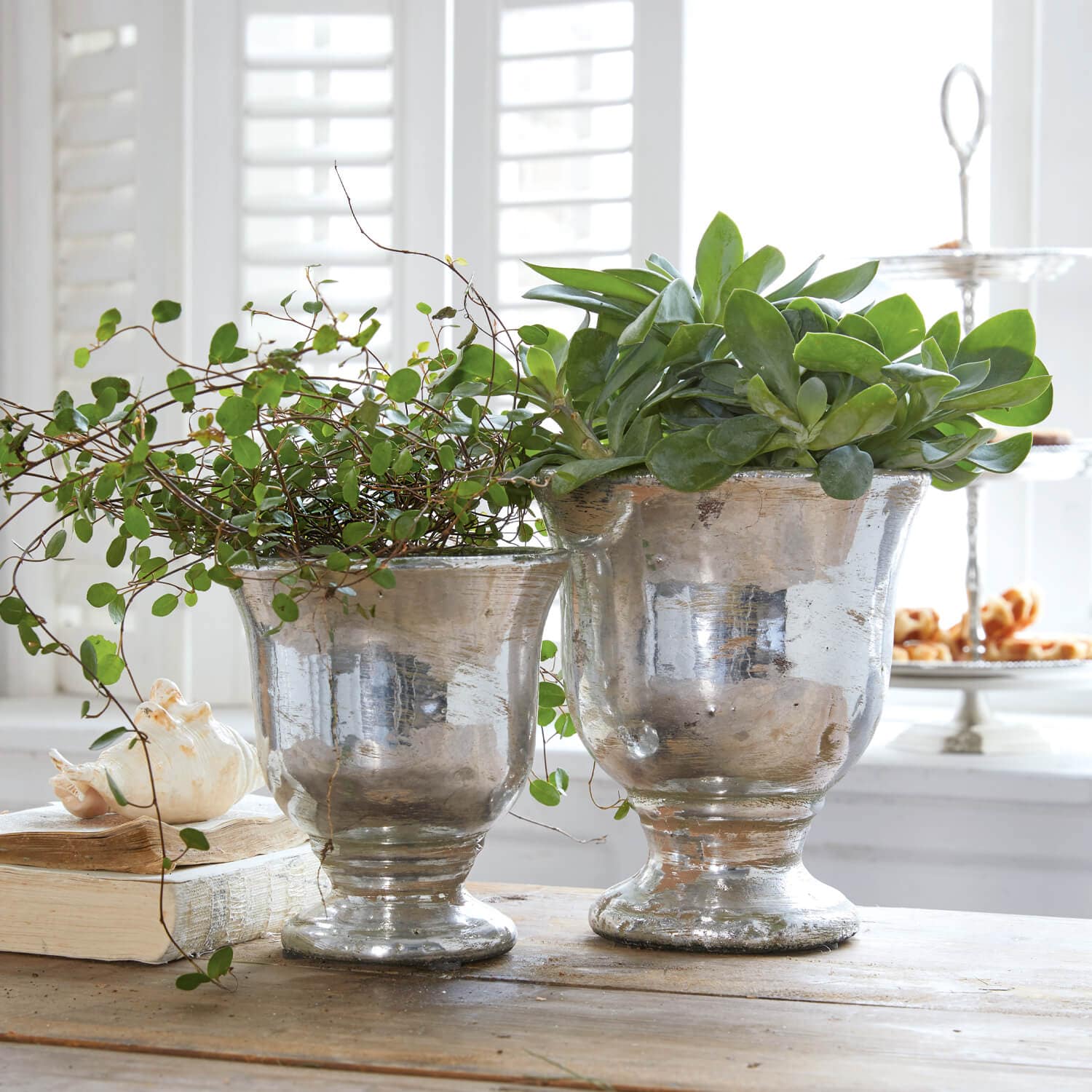 Deux pots en métal argenté avec plantes vertes sur une table en bois dans un intérieur lumineux