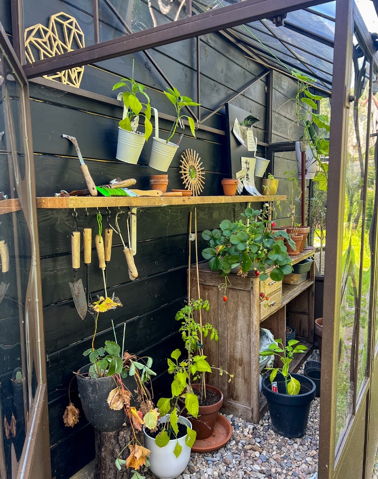 Serre avec table en bois, outils de jardinage et pots de plantes vertes sur sol en gravier.