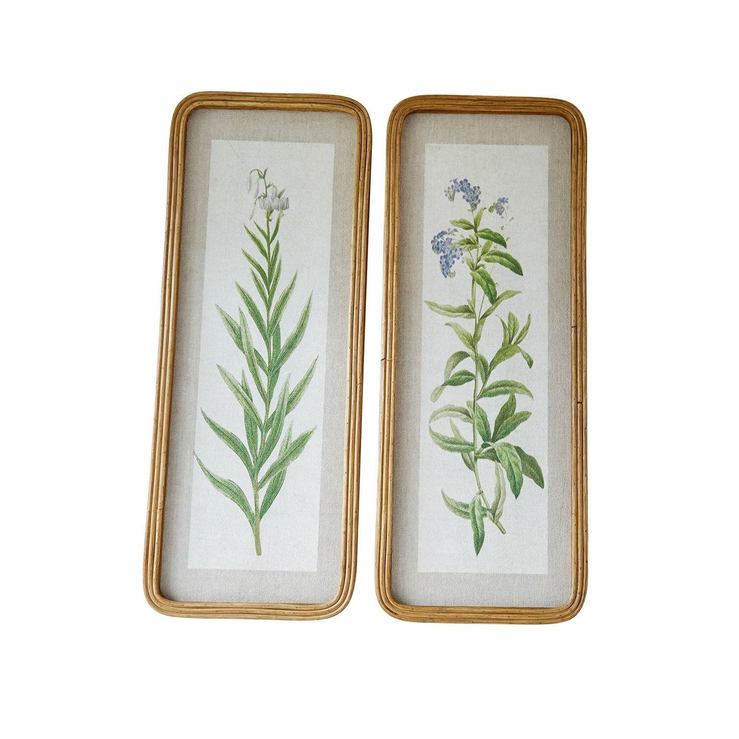 Lot de 2 tableaux Cenori Ensemble de deux illustrations botaniques avec motifs végétaux encadrés en bois sur fond en lin