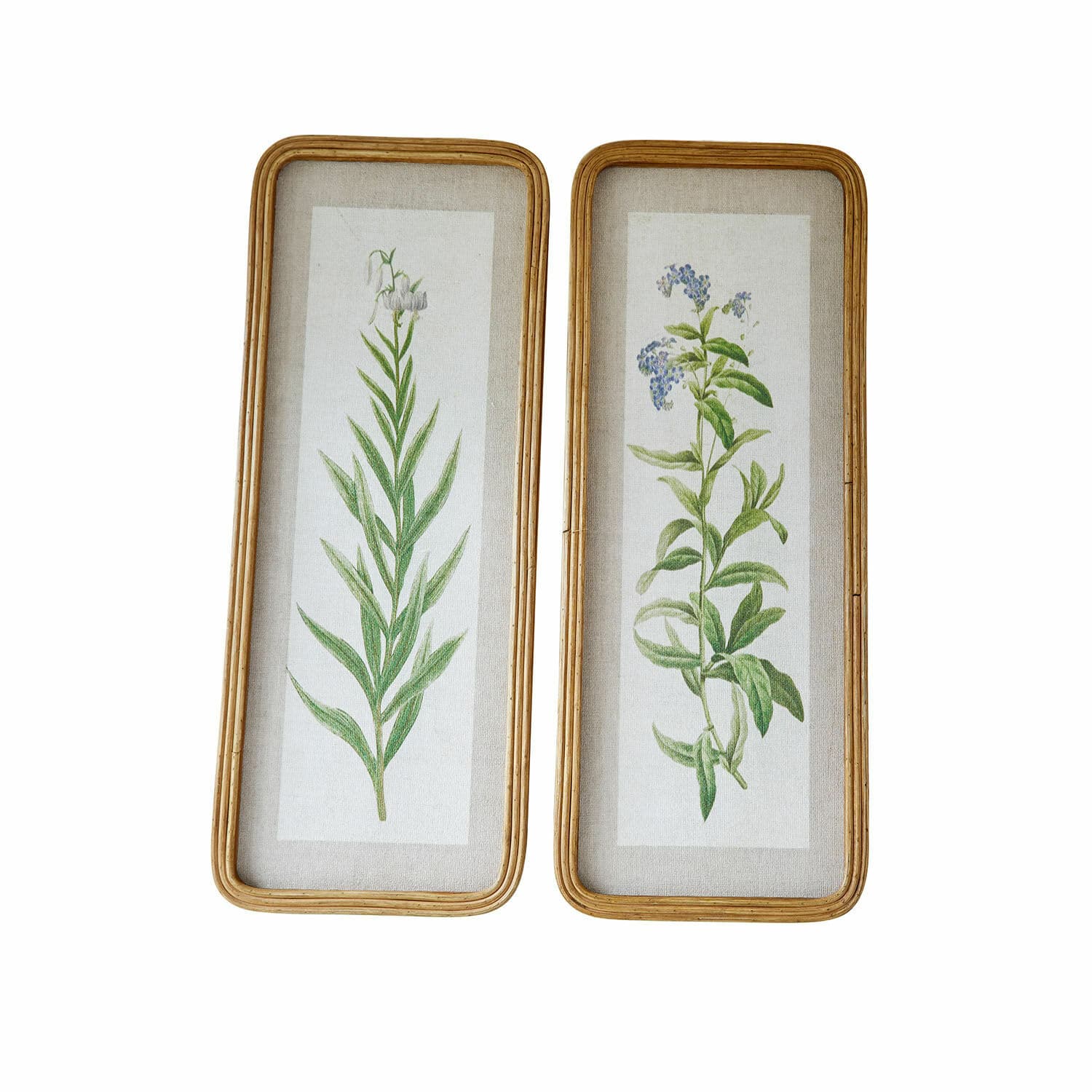Lot de 2 tableaux Cenori Ensemble de deux illustrations botaniques avec motifs végétaux encadrés en bois sur fond en lin
