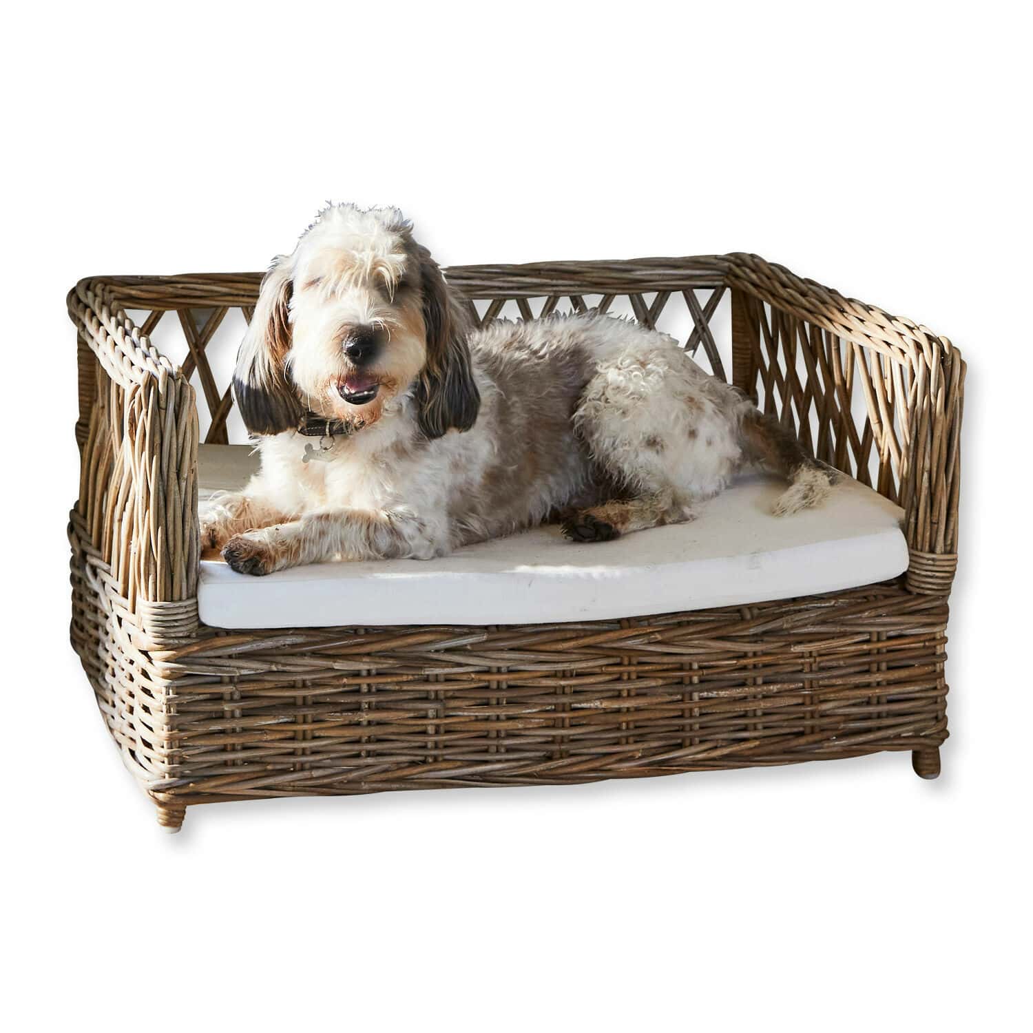 Lit pour chien Cordillera