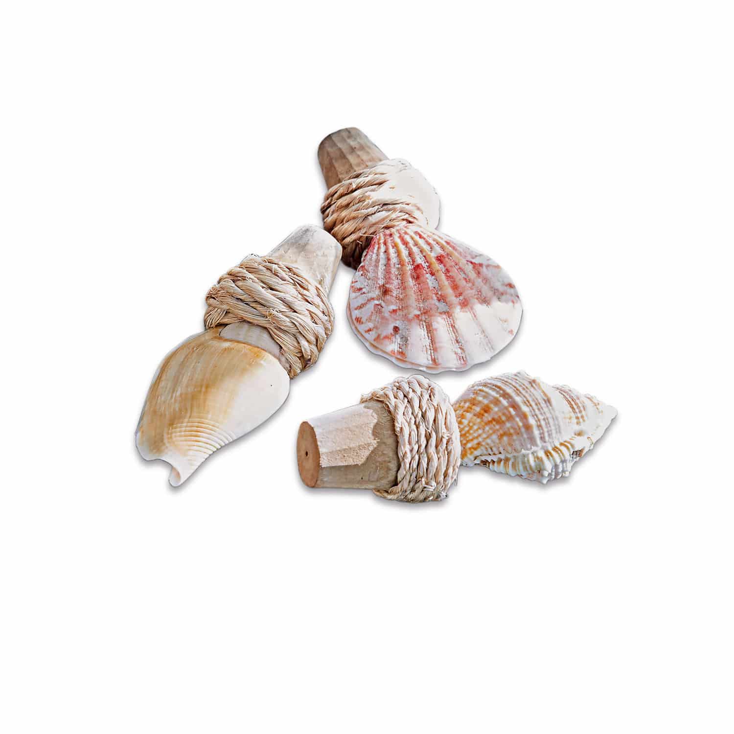 Lot de 3 bouchons Pavin