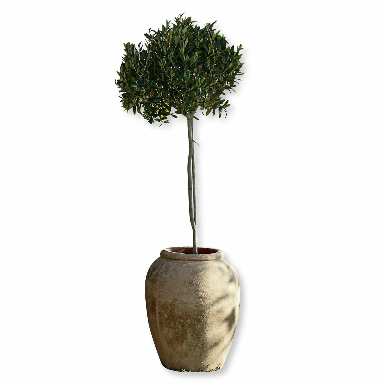 Cache-pot Crête