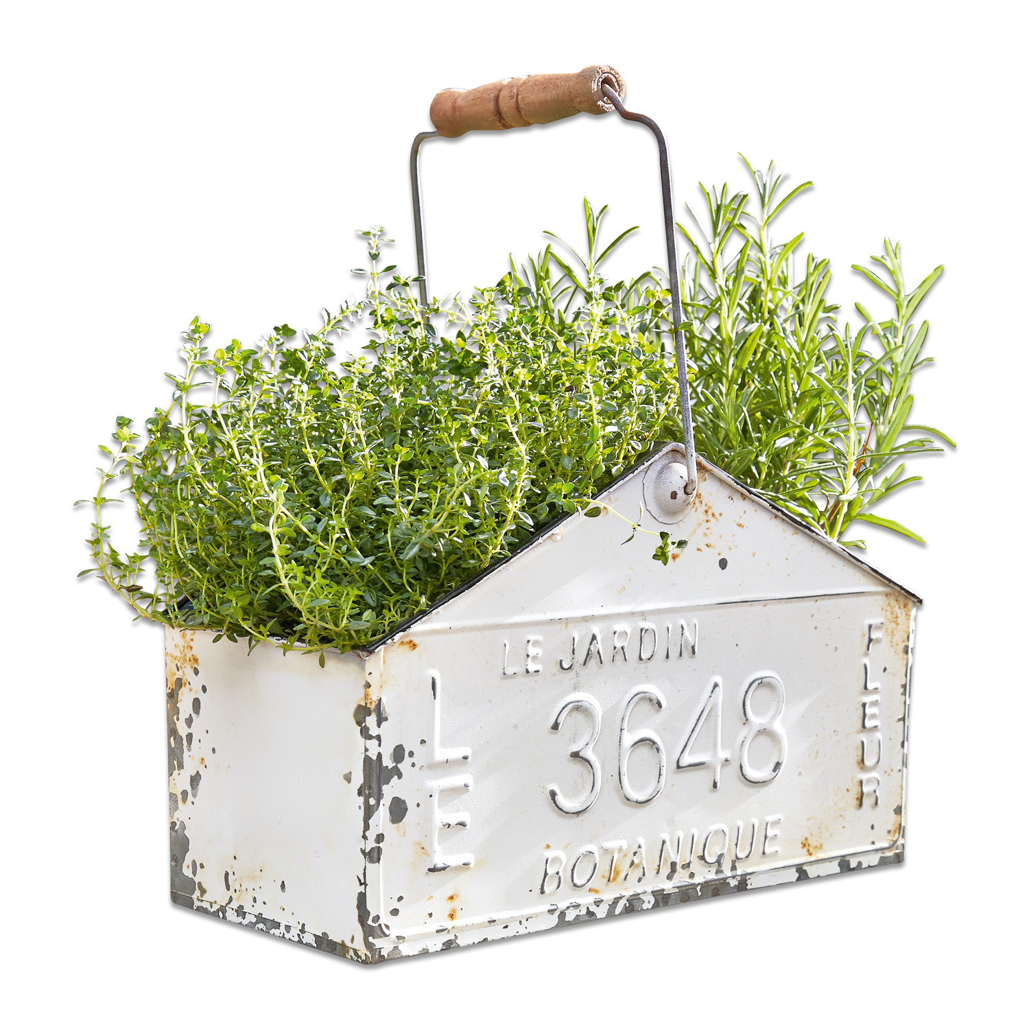 Panier Botanique Jardinière en métal blanc avec poignée en bois et herbes vertes, décoration jardin vintage