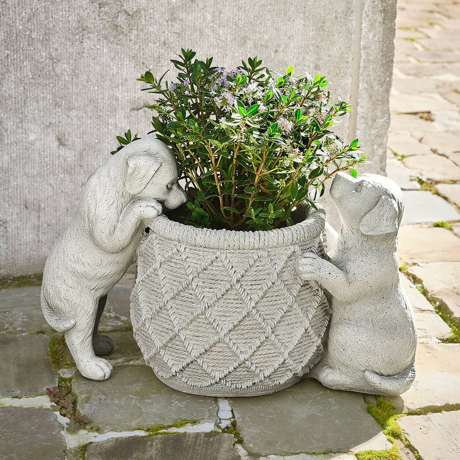 Jardinière en pierre grise avec deux chiots sculptés tenant une plante aux feuilles vertes