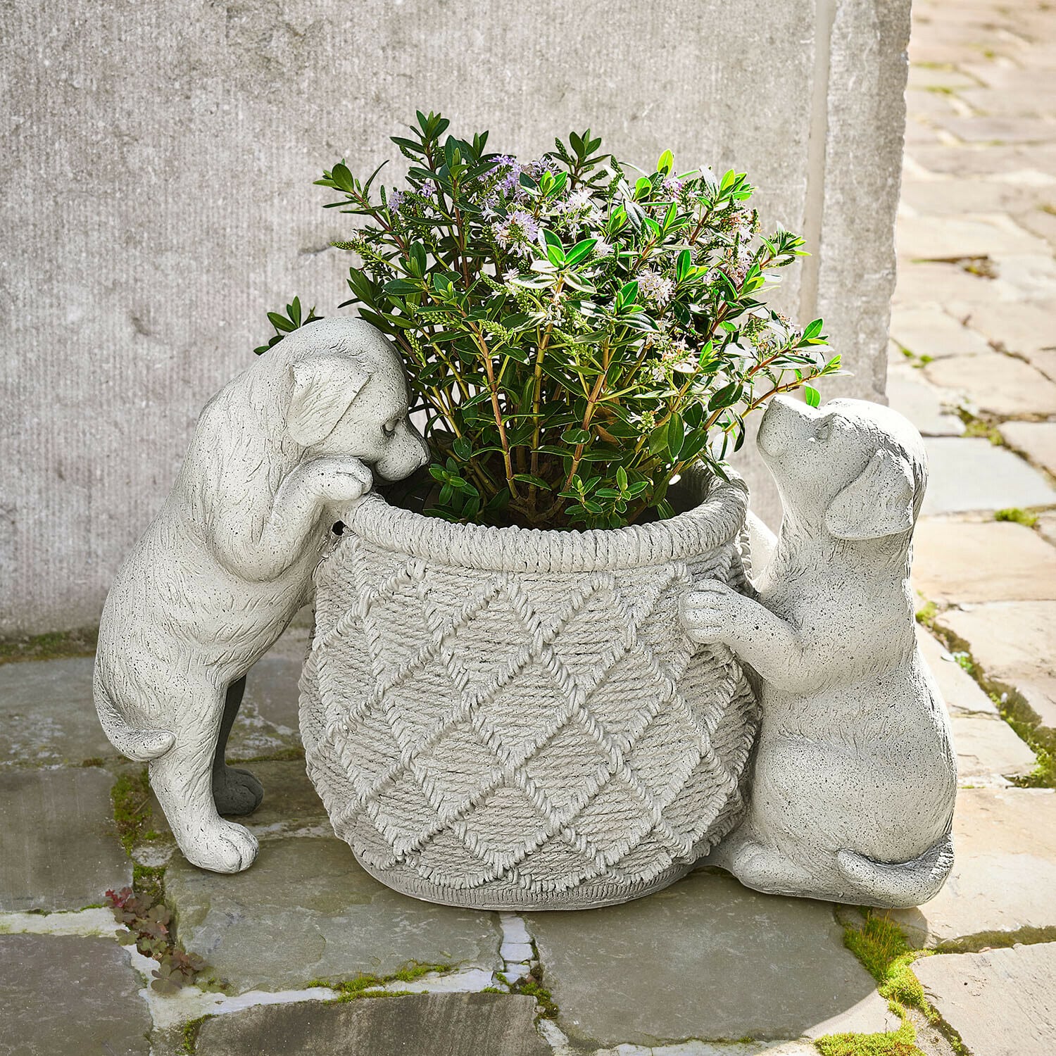 Cache-pot Marnja