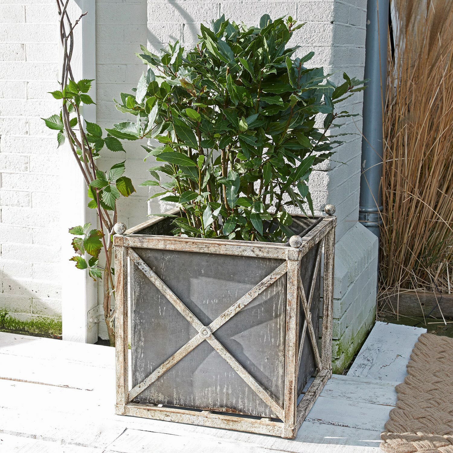 Cache-pot Taunton