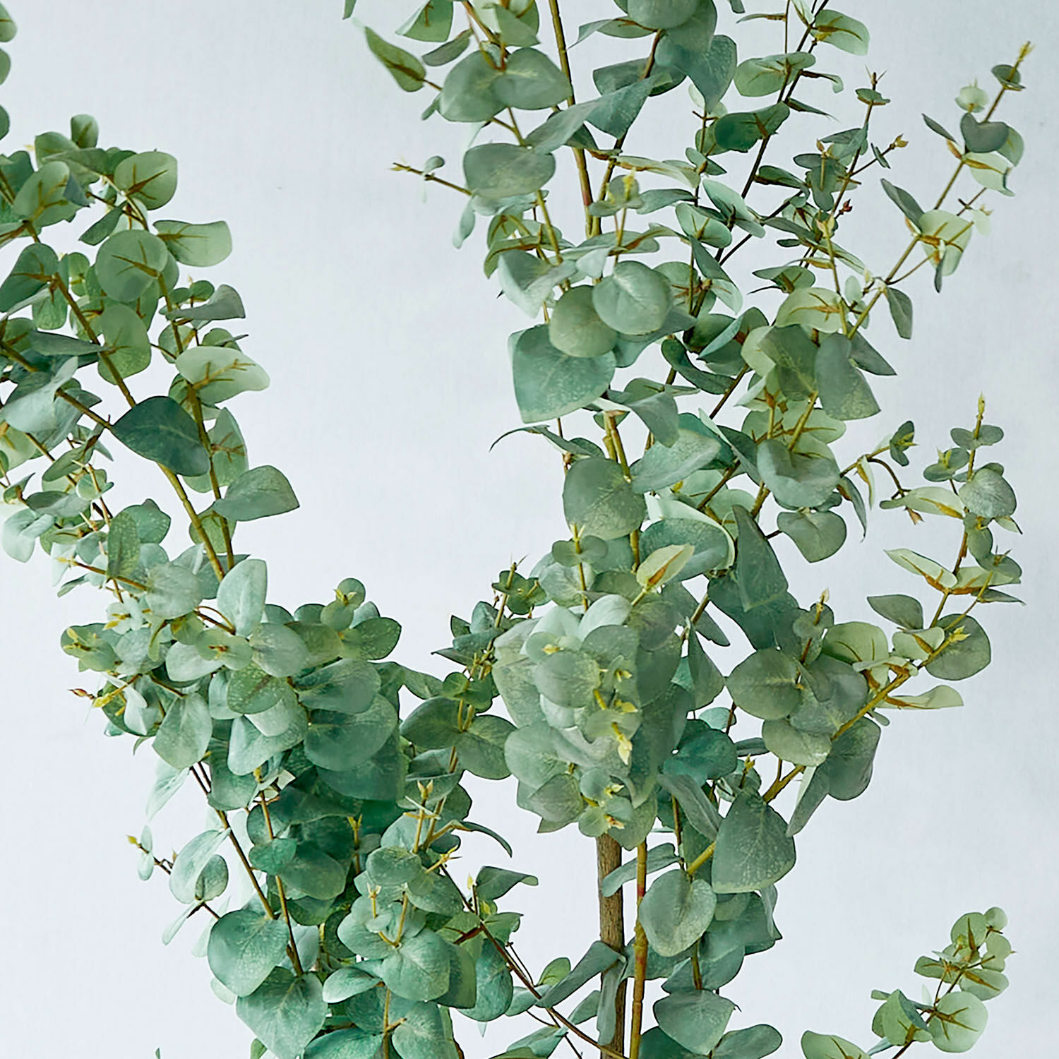 Plante décorative en pot Dorevi