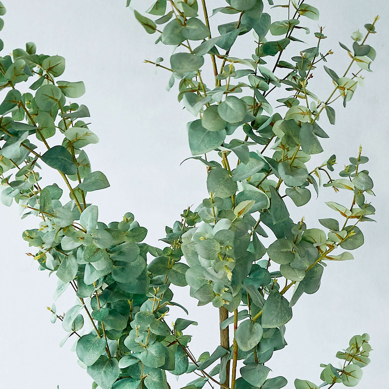 Plante décorative en pot Dorevi