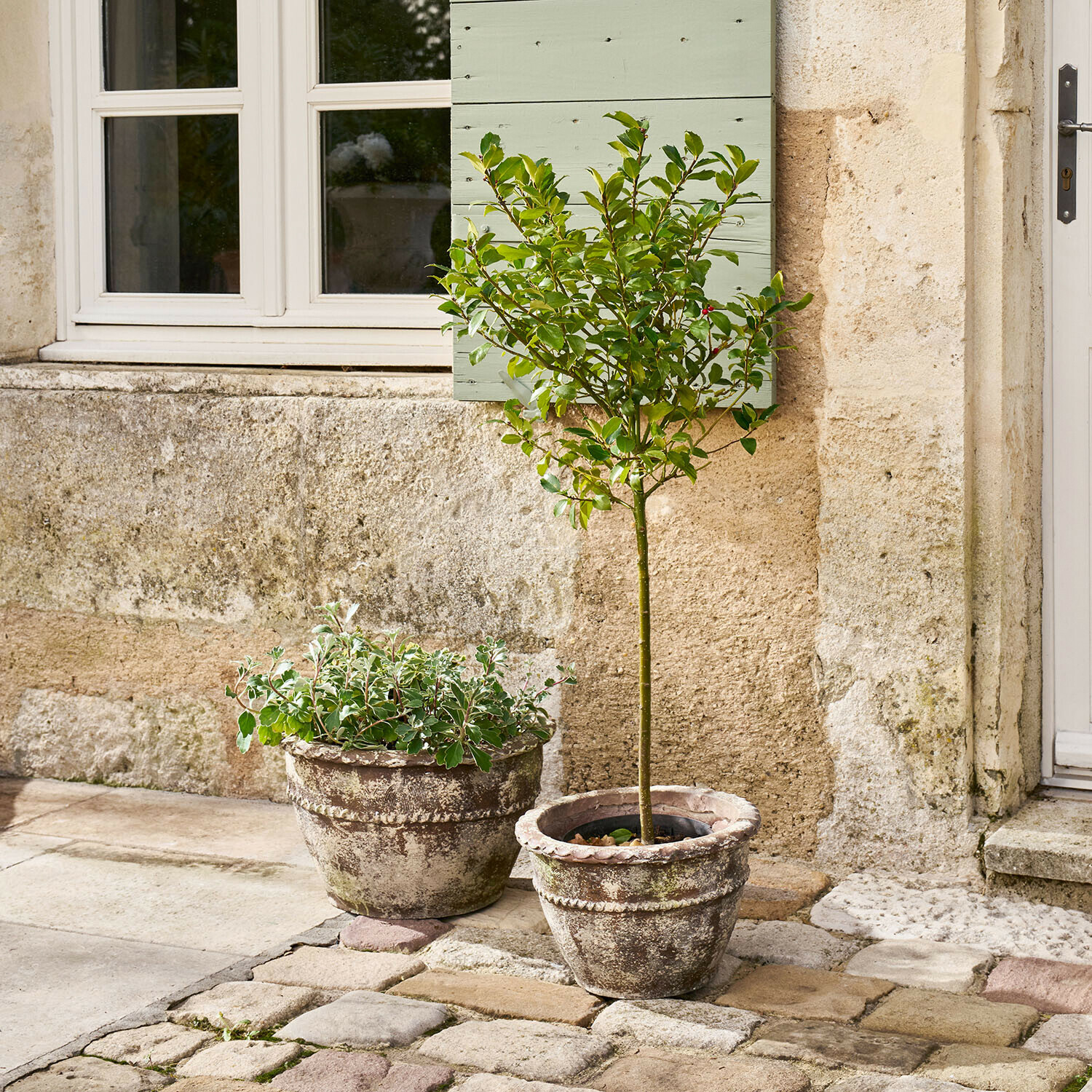 Deux pots en terre cuite patinés avec des plantes sur une cour pavée devant un mur en pierre