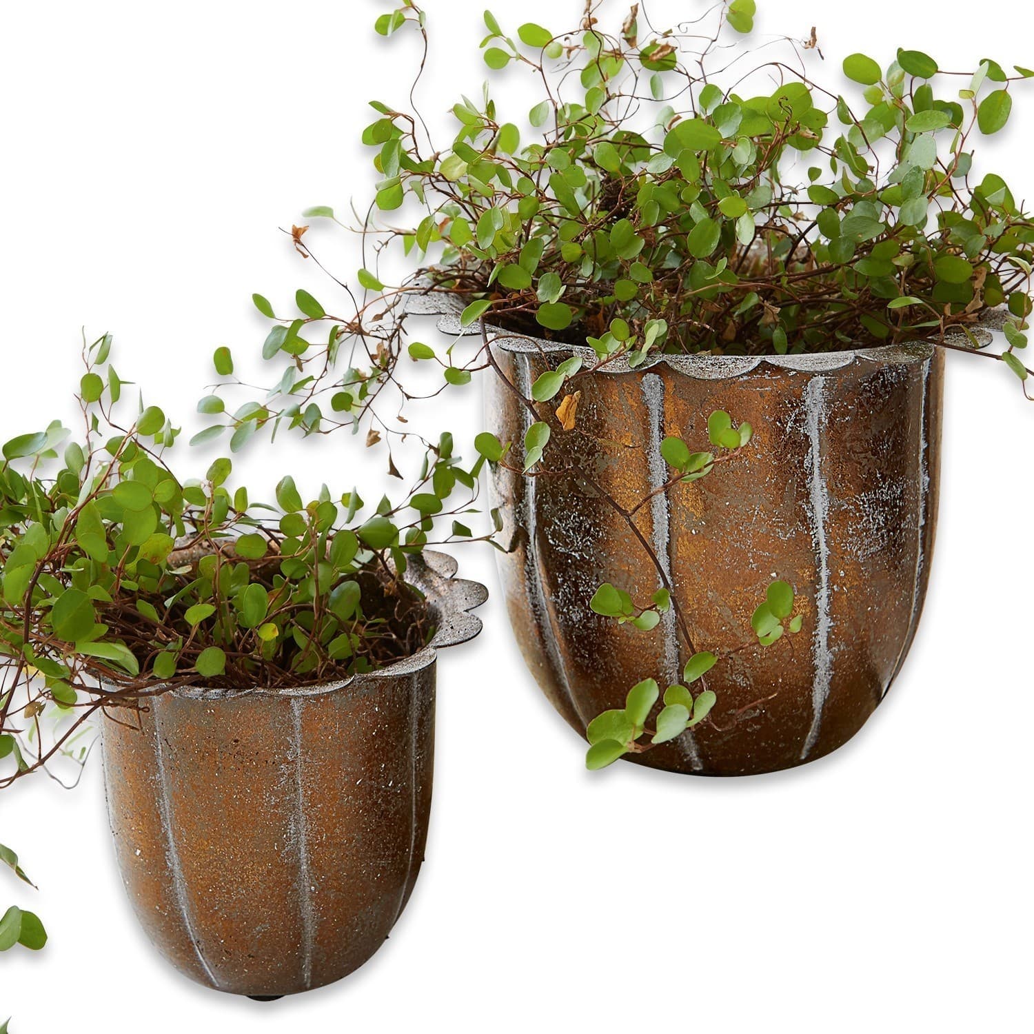 Lot de 2 cache-pots Périers