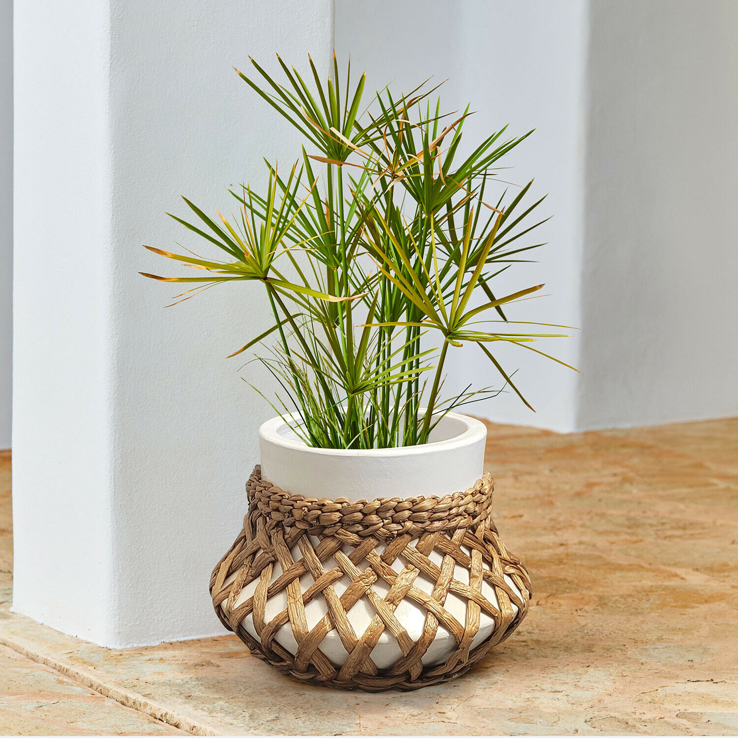 Cache-pot Amariel Pot en céramique blanc avec housse en osier tressé et plante verte sur sol en pierre