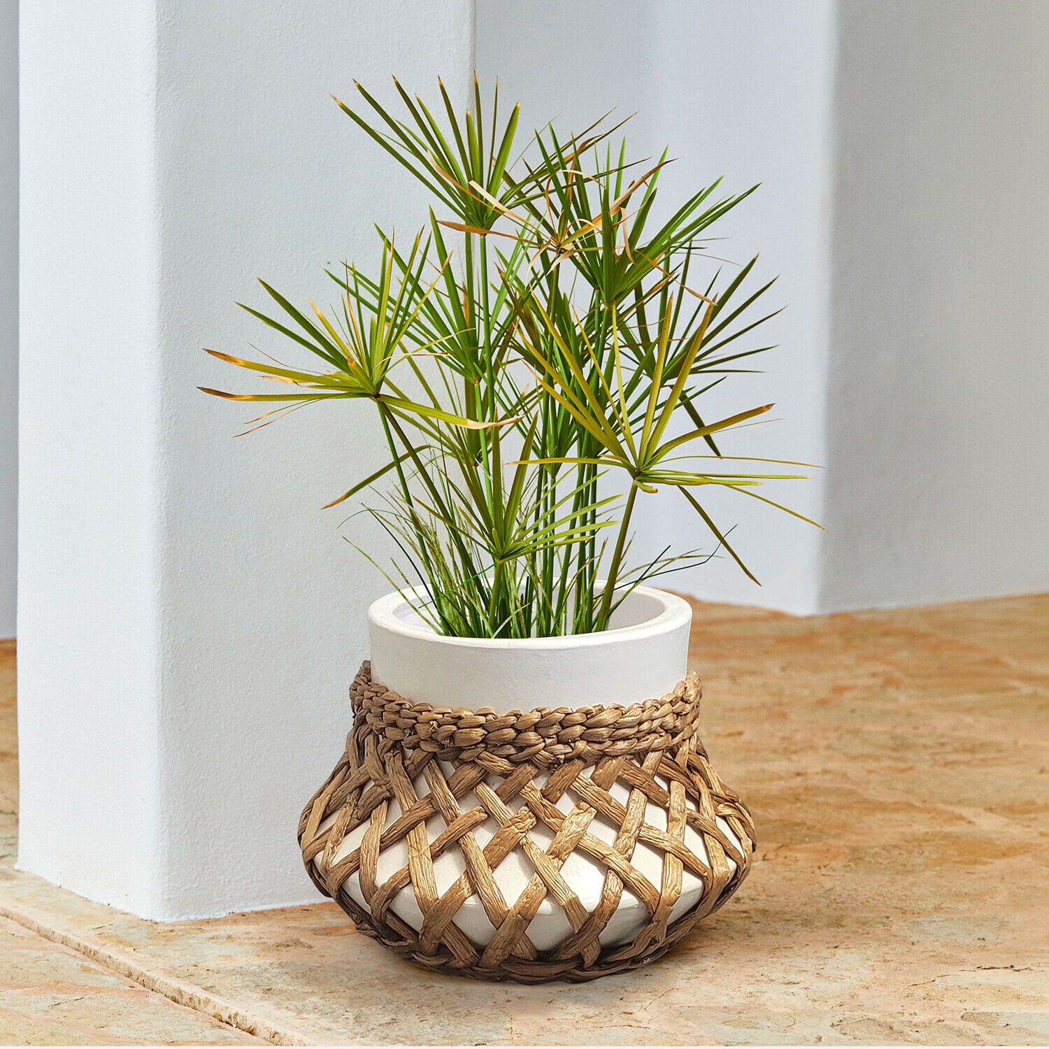 Cache-pot Amariel Pot en céramique blanc avec housse en osier tressé et plante verte sur sol en pierre