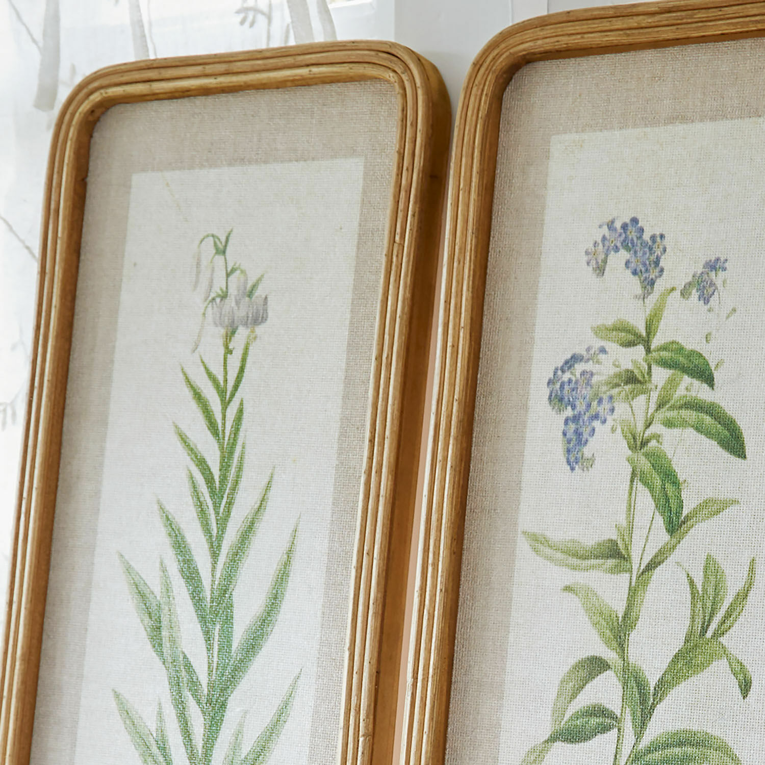 Lot de 2 tableaux Cenori
