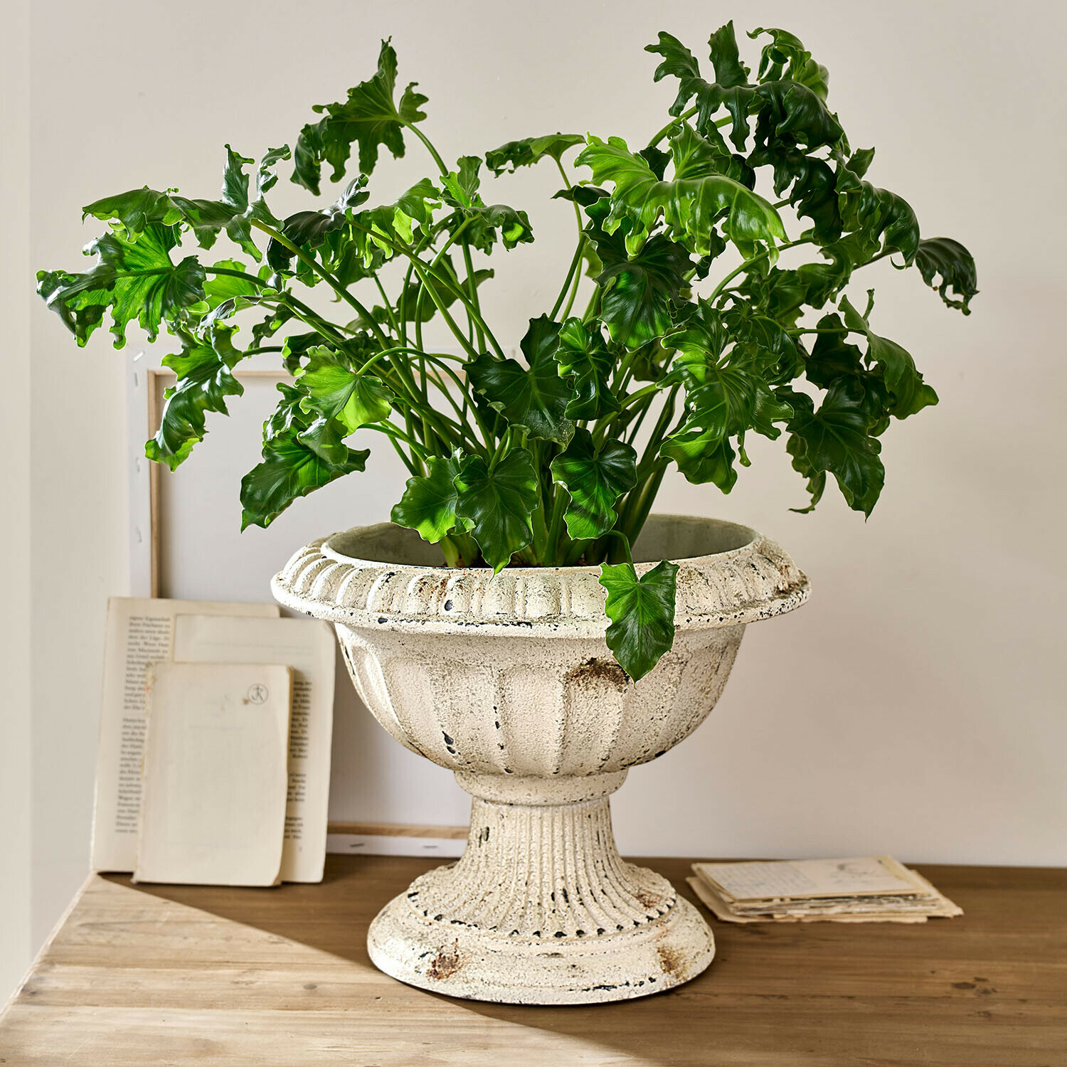 Amphore Islene Cache-pot en céramique blanche avec plante verte sur table en bois, décoration intérieure