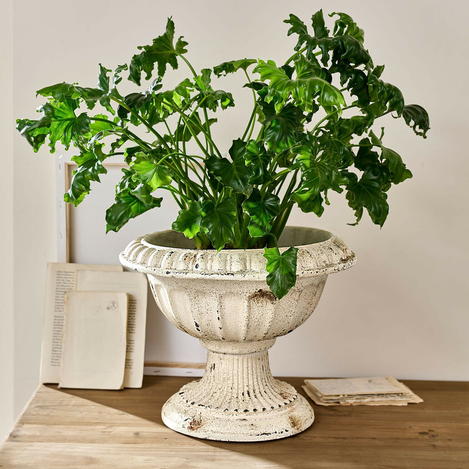 Amphore Islene Cache-pot en céramique blanche avec plante verte sur table en bois, décoration intérieure