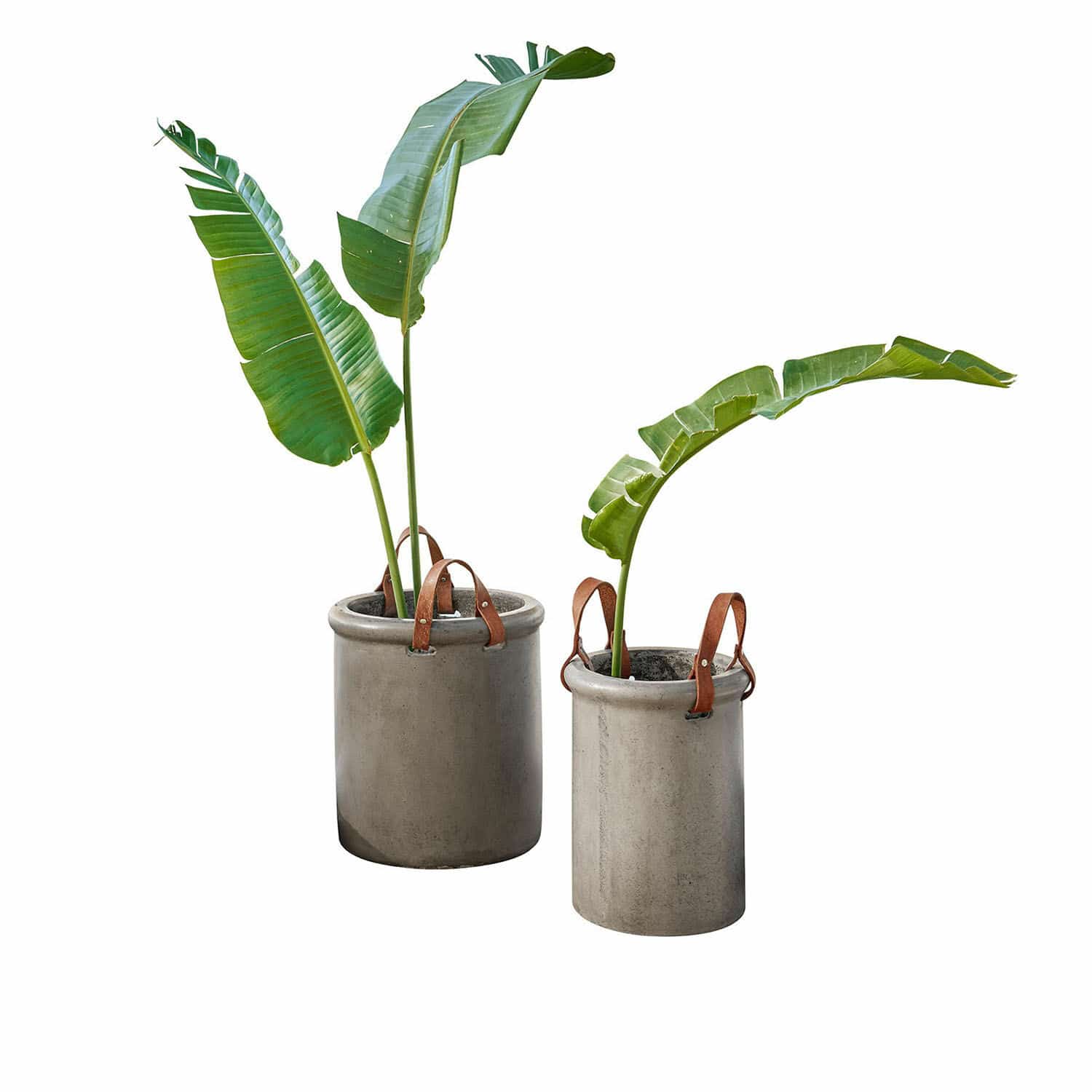 Lot de 2 cache-pots Tessonet