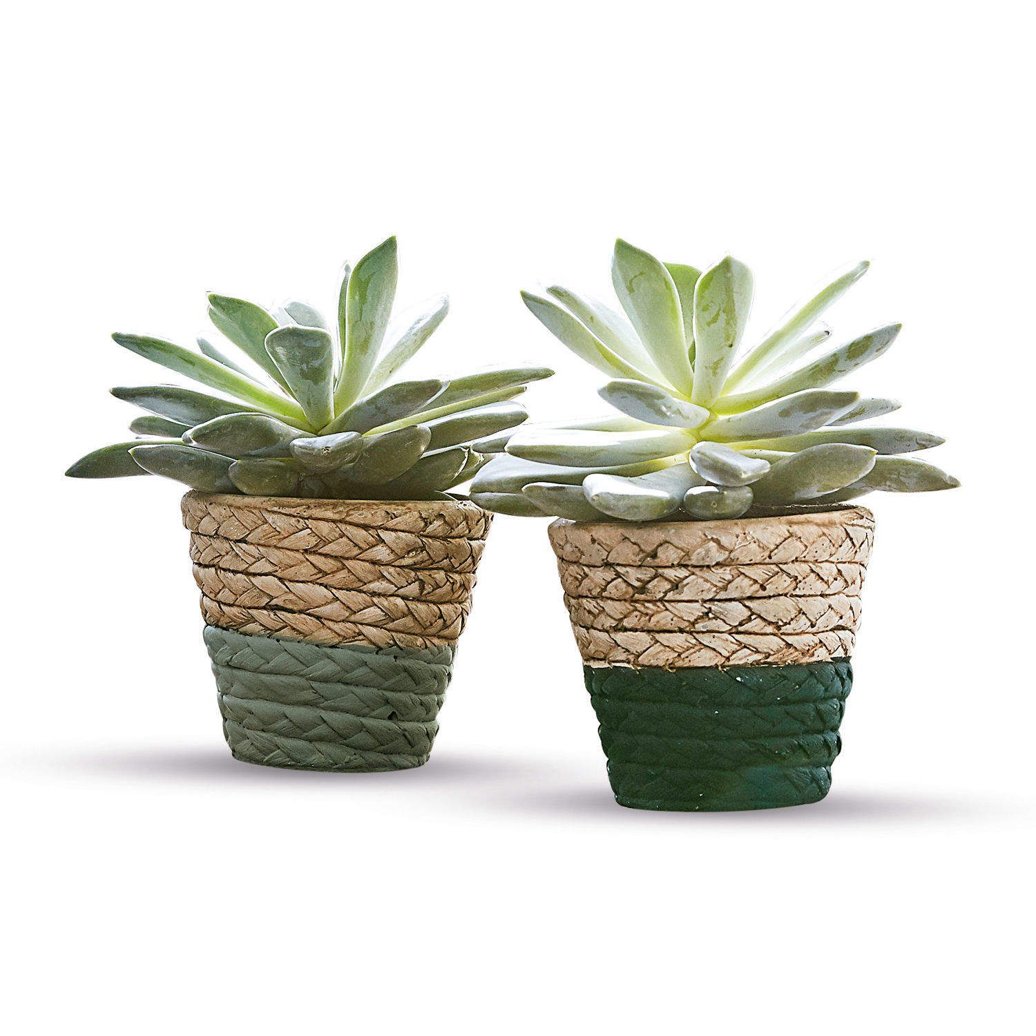 Lot de 2 cache-pots Manoel