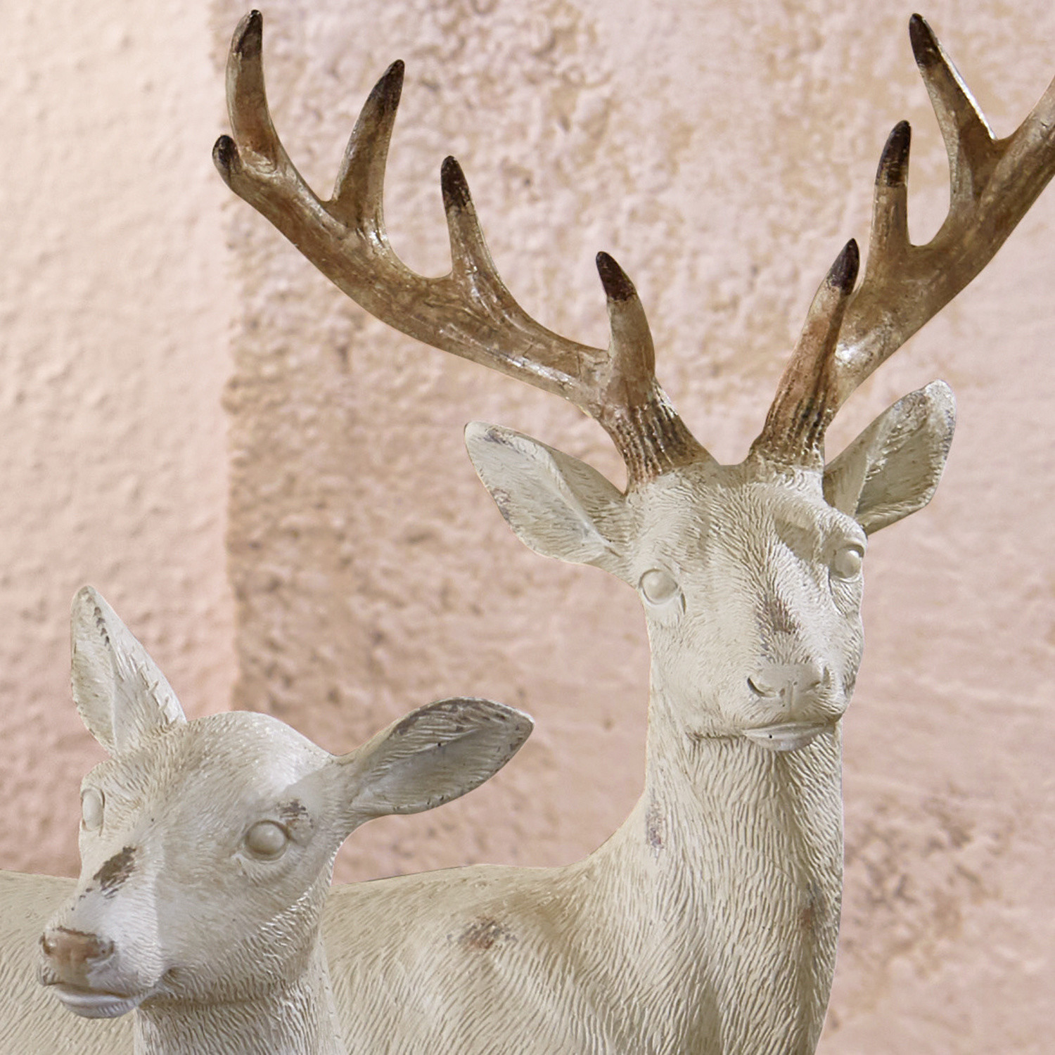 Cerf et chevreuil Risleys