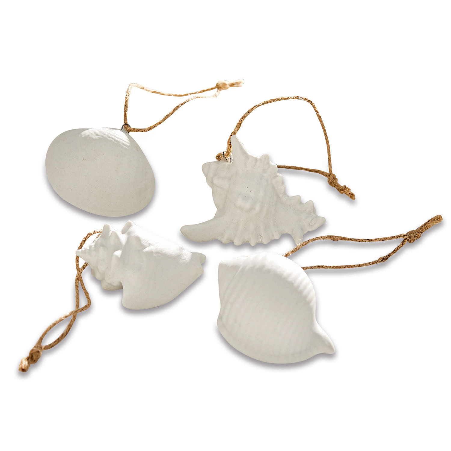 Lot de coquillages décoratifs Maltesse
