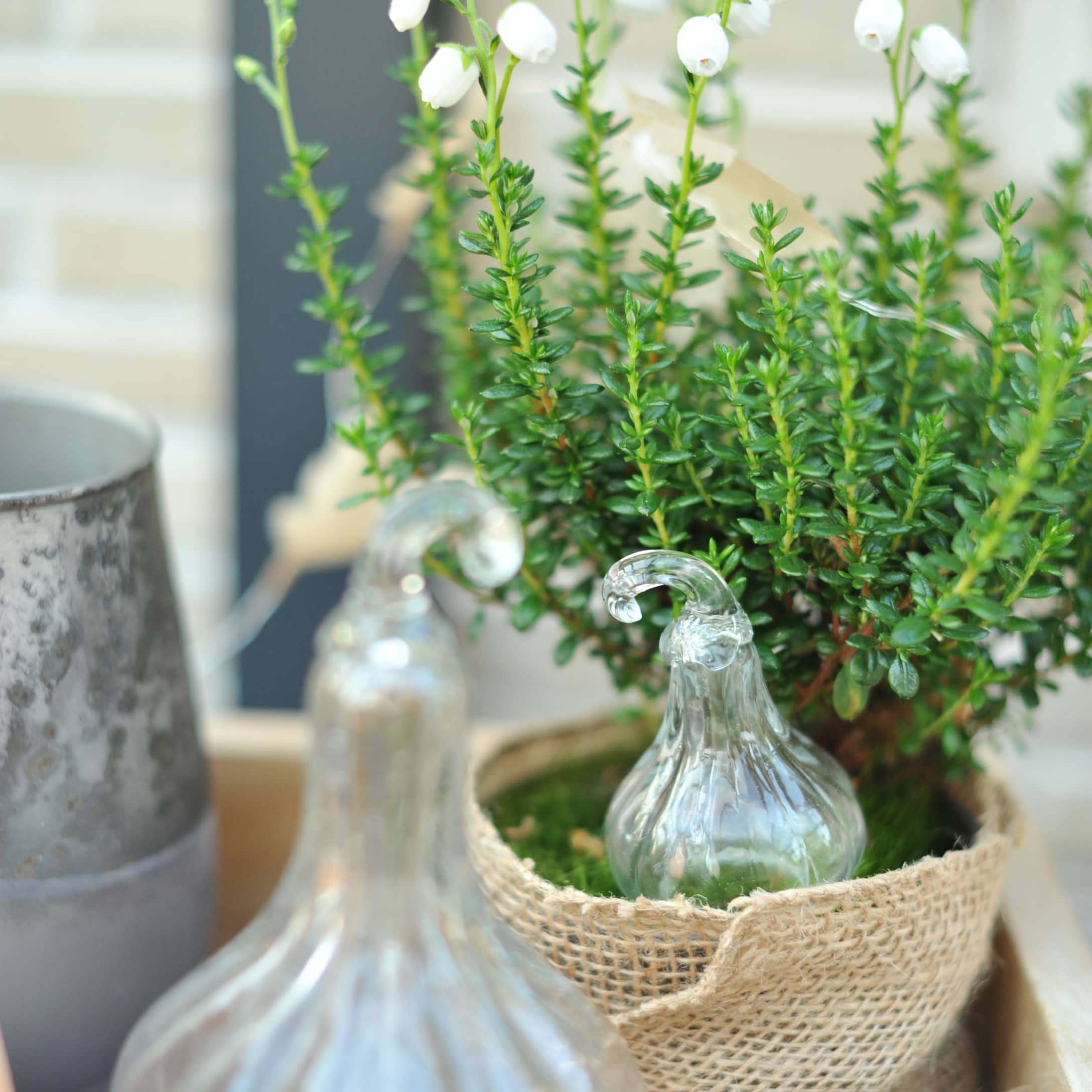 Décoration en verre en forme de citrouille près d'une plante verte en pot en jute pour décoration d'automne
