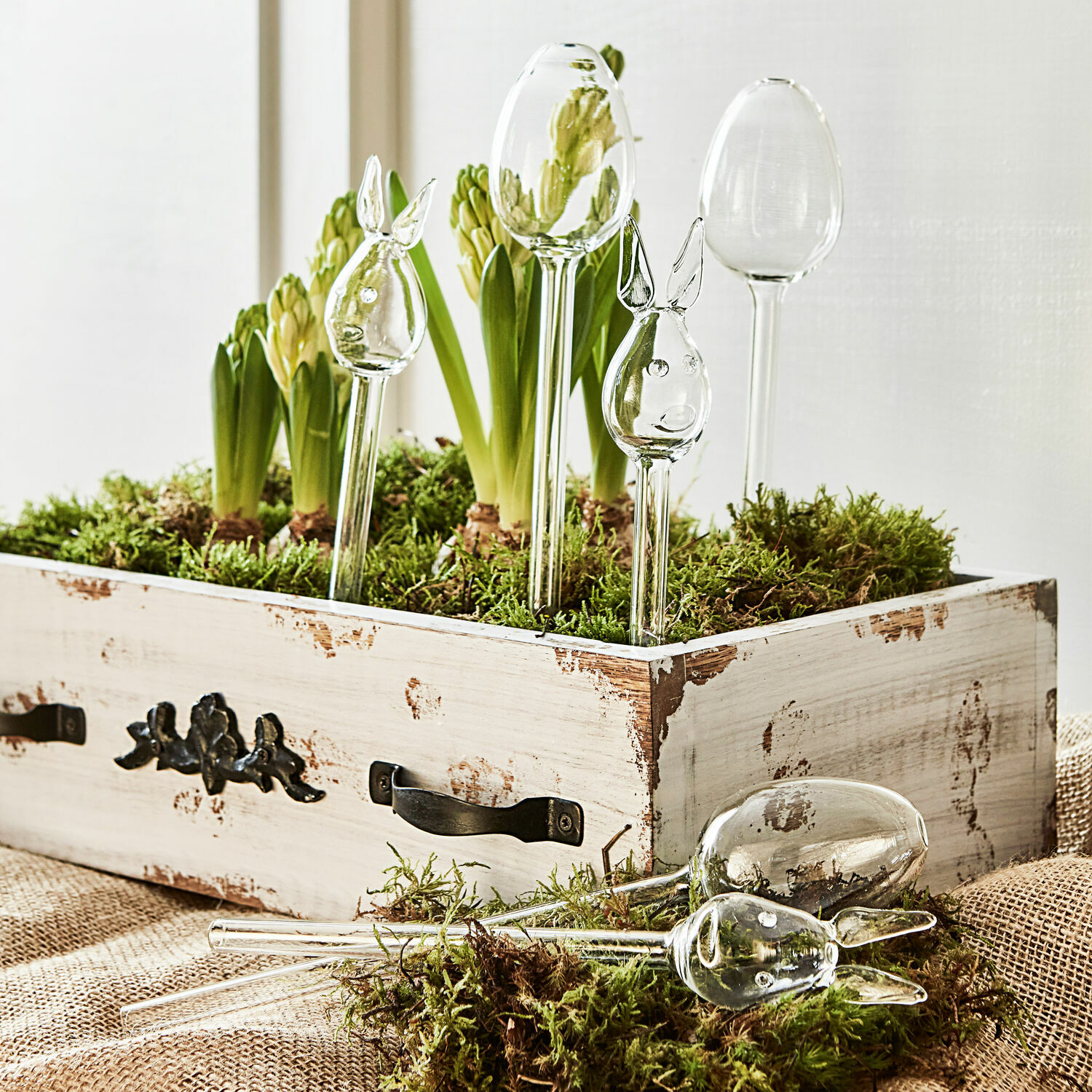 Lot de 6 arroseurs autonomes Suva Décorations en verre en forme de têtes de lapin sur tiges longues dans une caisse en bois avec plantes vertes