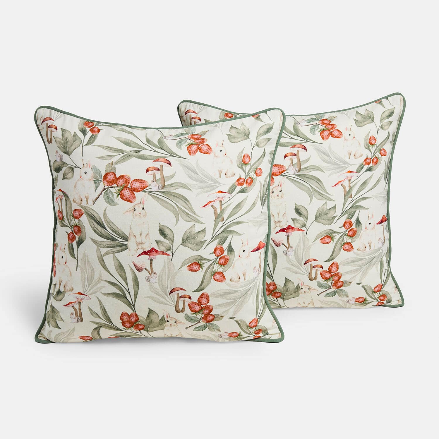 Lot de 2 housses de coussins Hoplet