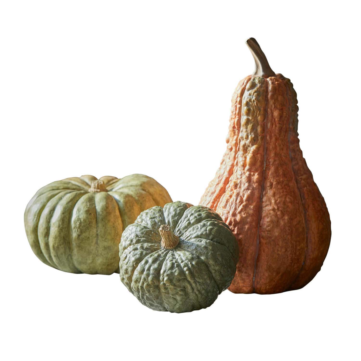 Lot de 3 citrouilles décoratives Raliven