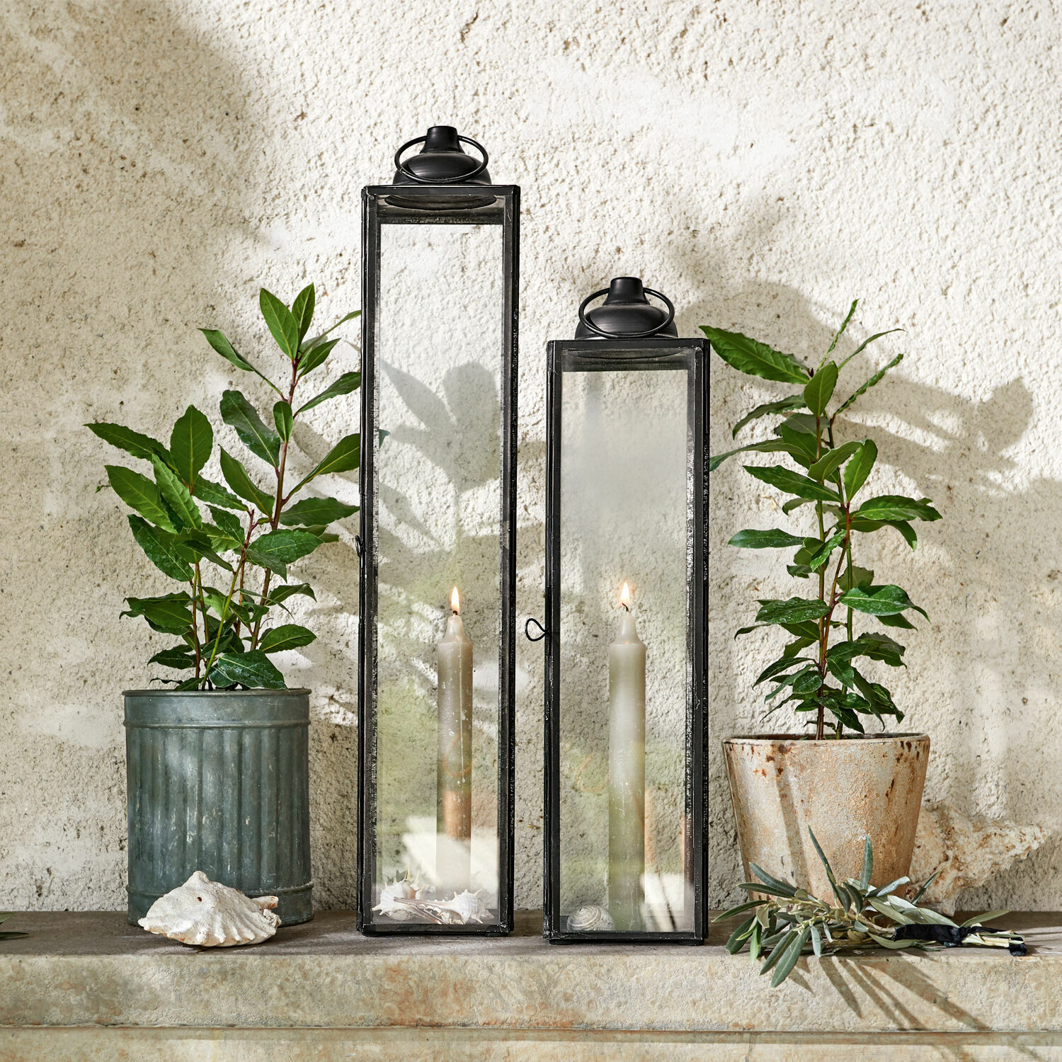 Lot de 2 lanternes Radu Deux lanternes en métal noir avec verre transparent et bougies blanches devant un mur avec des plantes