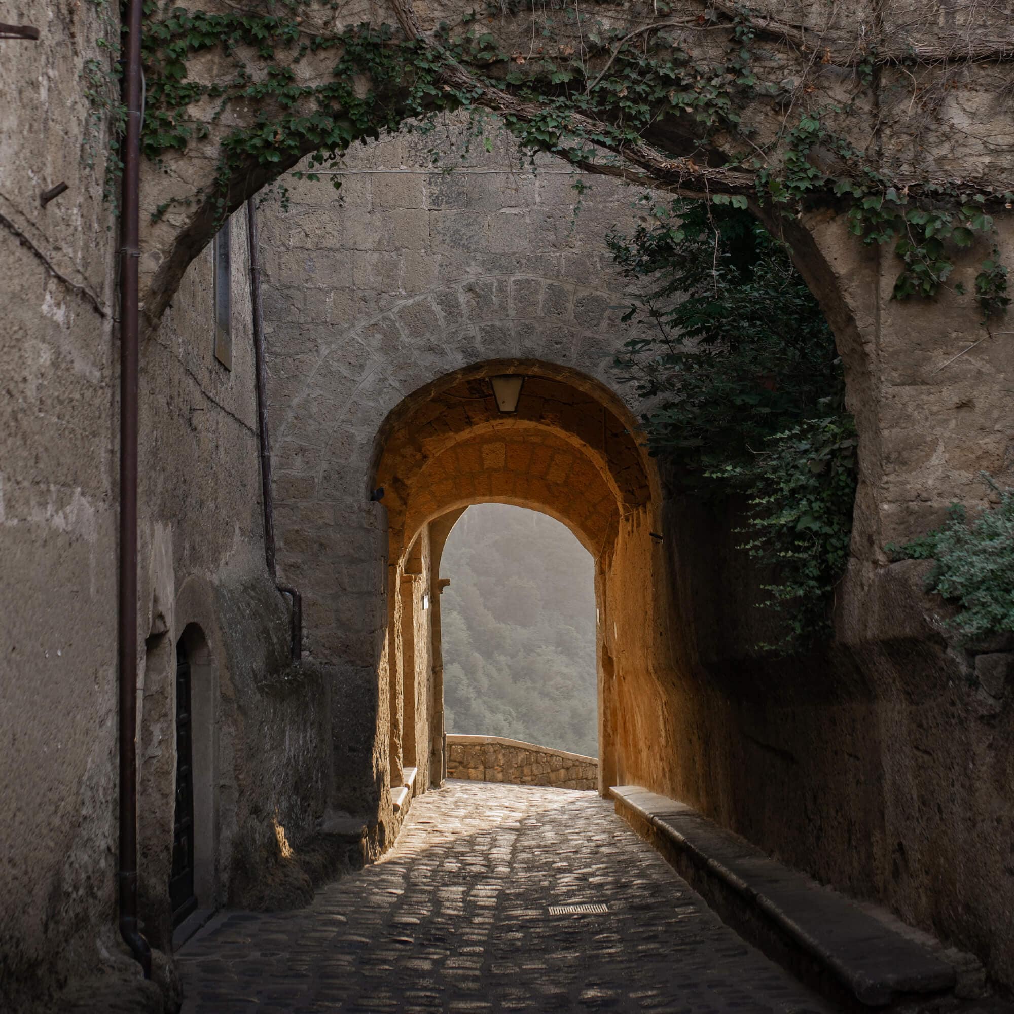 Arc en pierre avec vigne au-dessus d'un chemin pavé éclairé par une lumière chaude dans un cadre historique